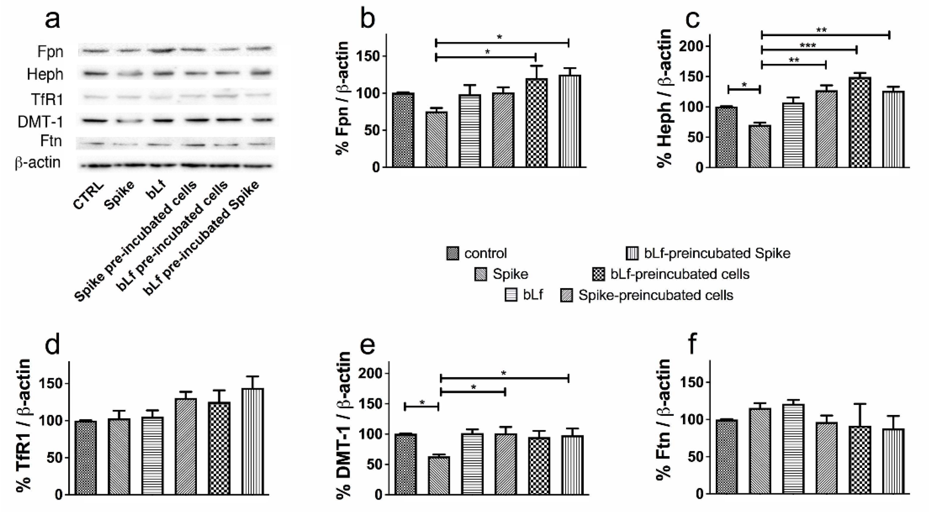 Pharmaceutics 14 02111 g004 Pharmaceutics 14 02111 g004