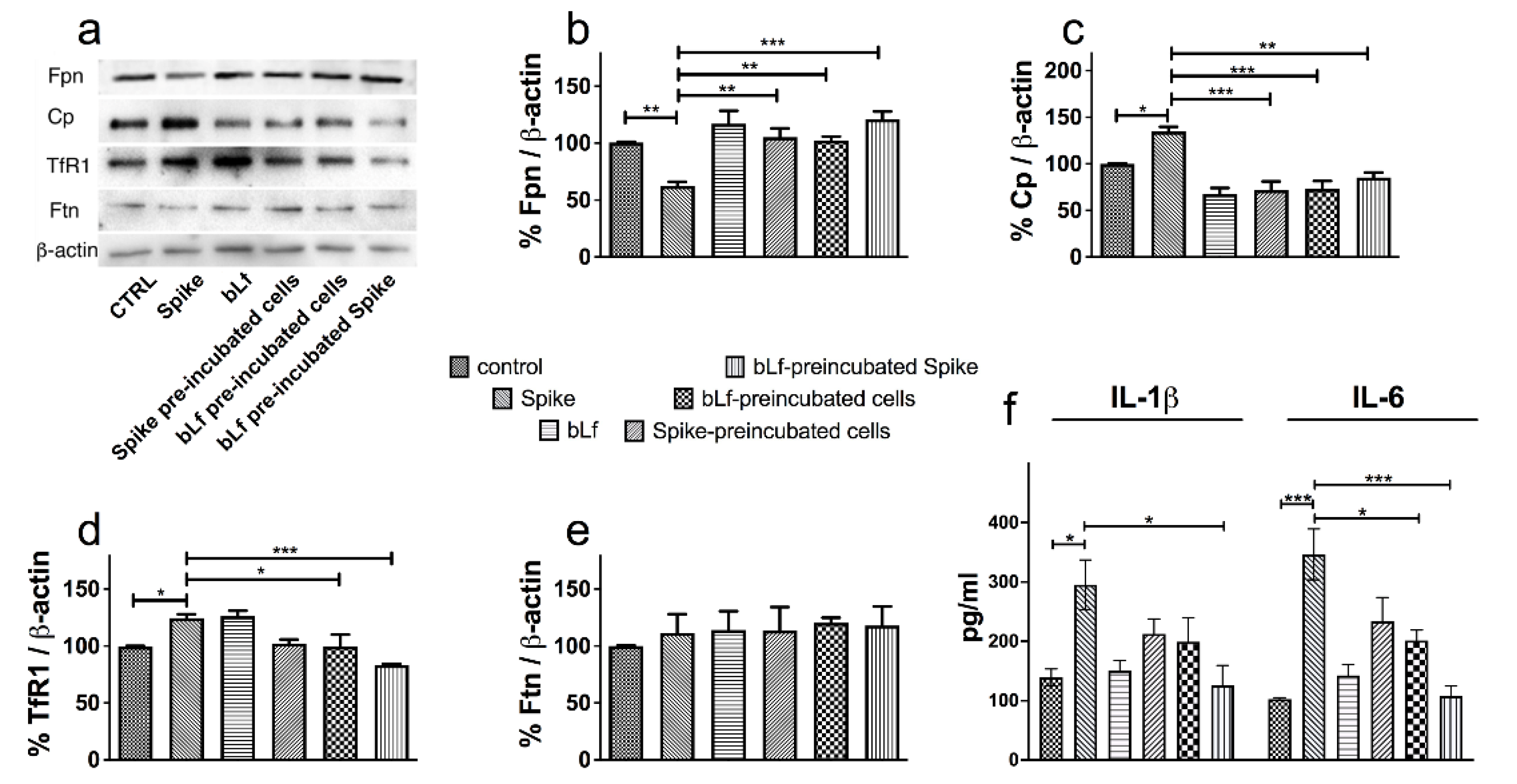 Pharmaceutics 14 02111 g005 Pharmaceutics 14 02111 g005