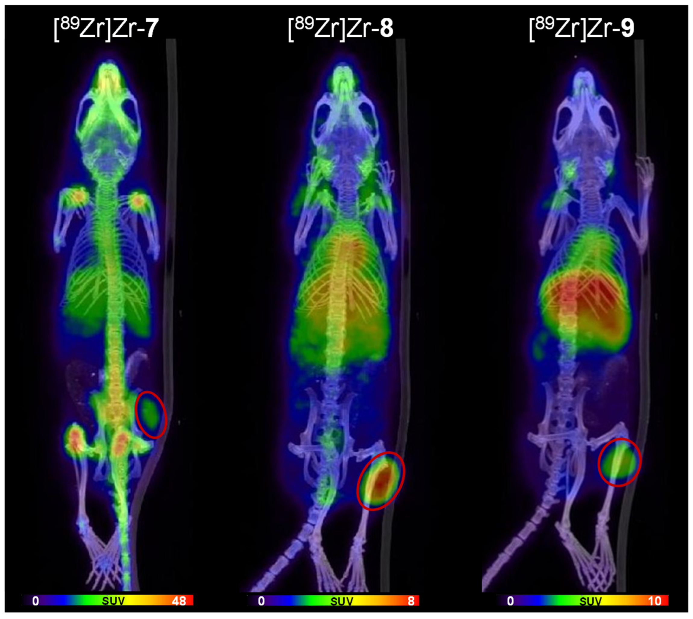 Pharmaceutics 14 02114 g006 Pharmaceutics 14 02114 g006