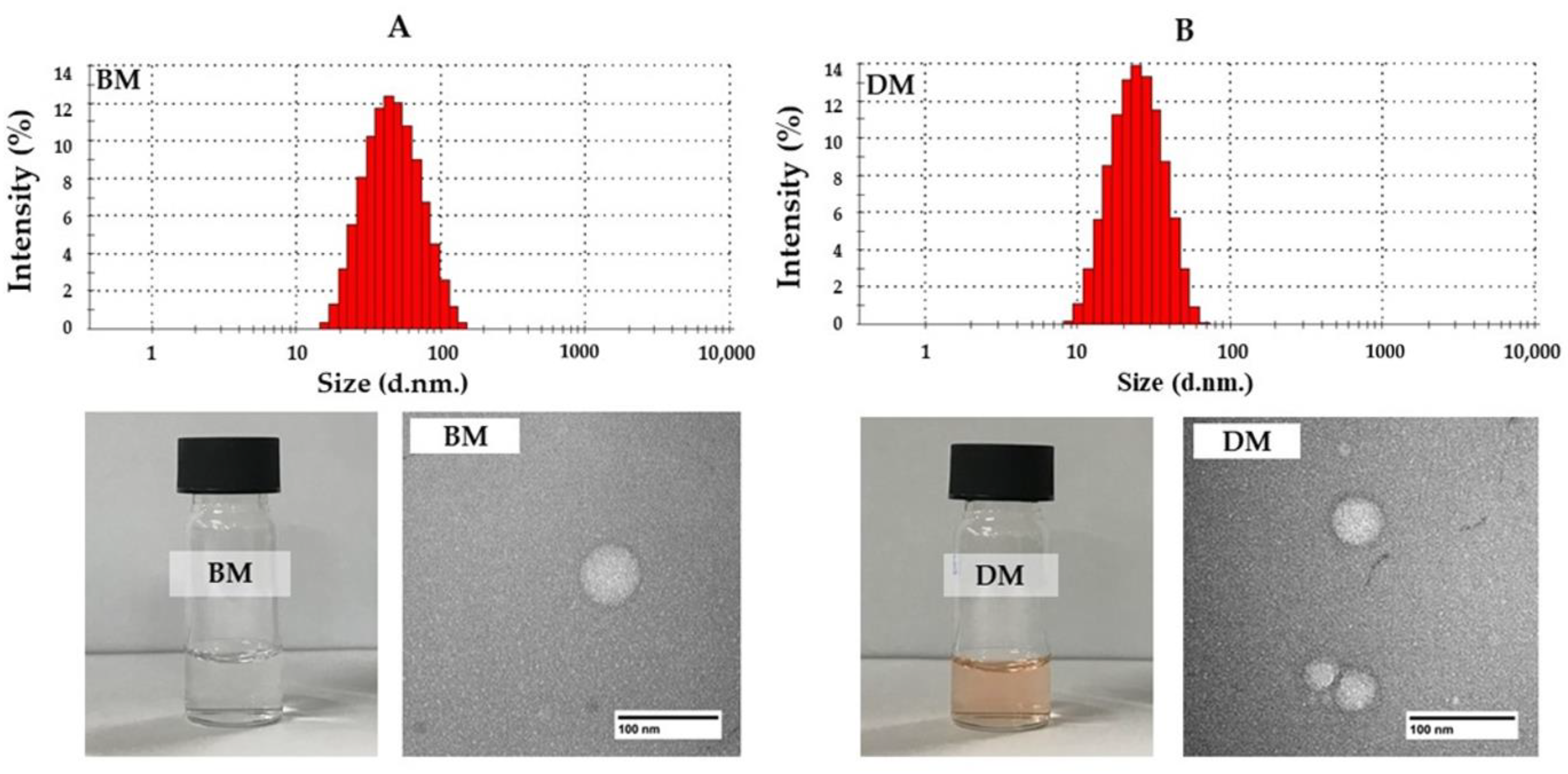 Pharmaceutics 14 02115 g001