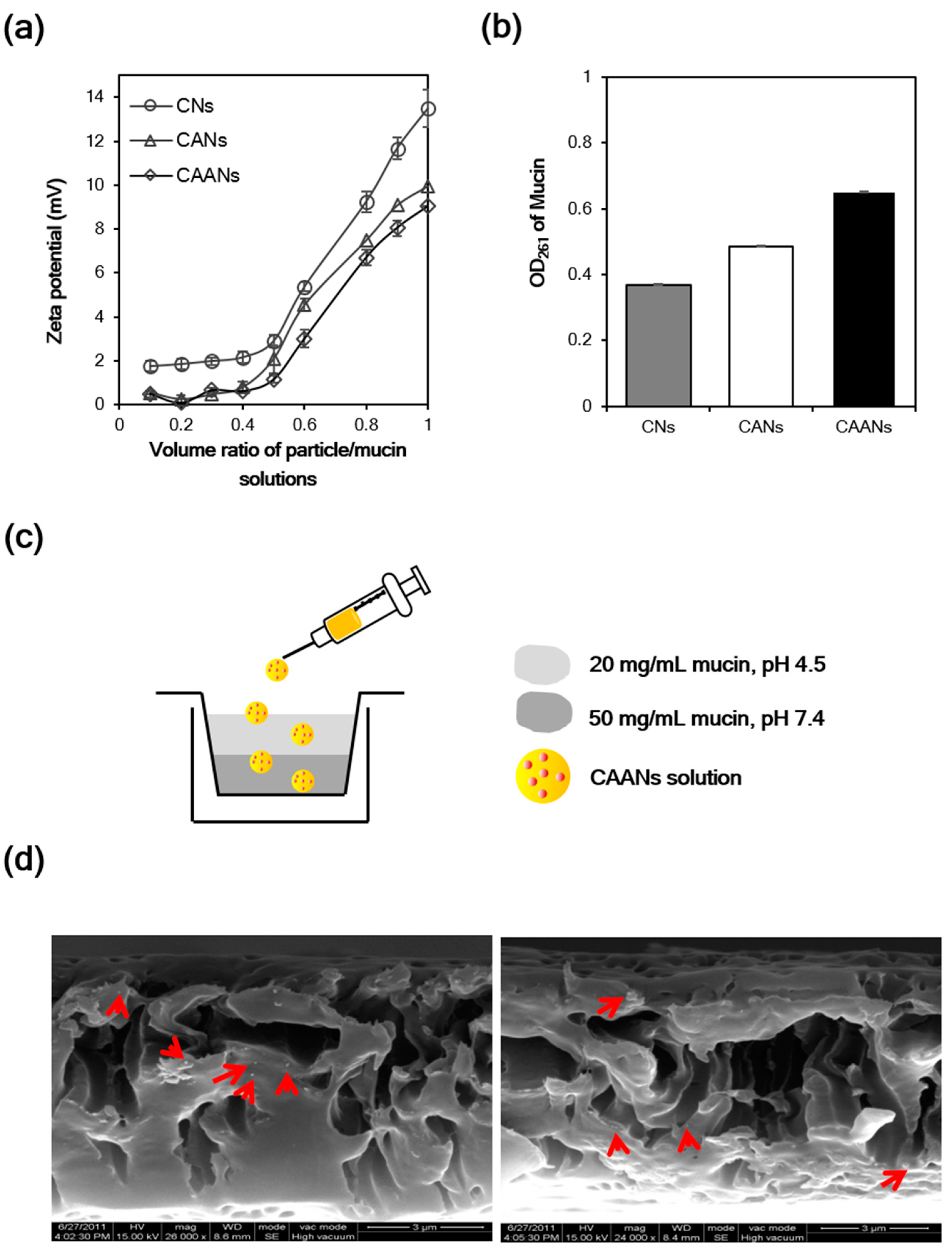 Pharmaceutics 14 02117 g003 Pharmaceutics 14 02117 g003