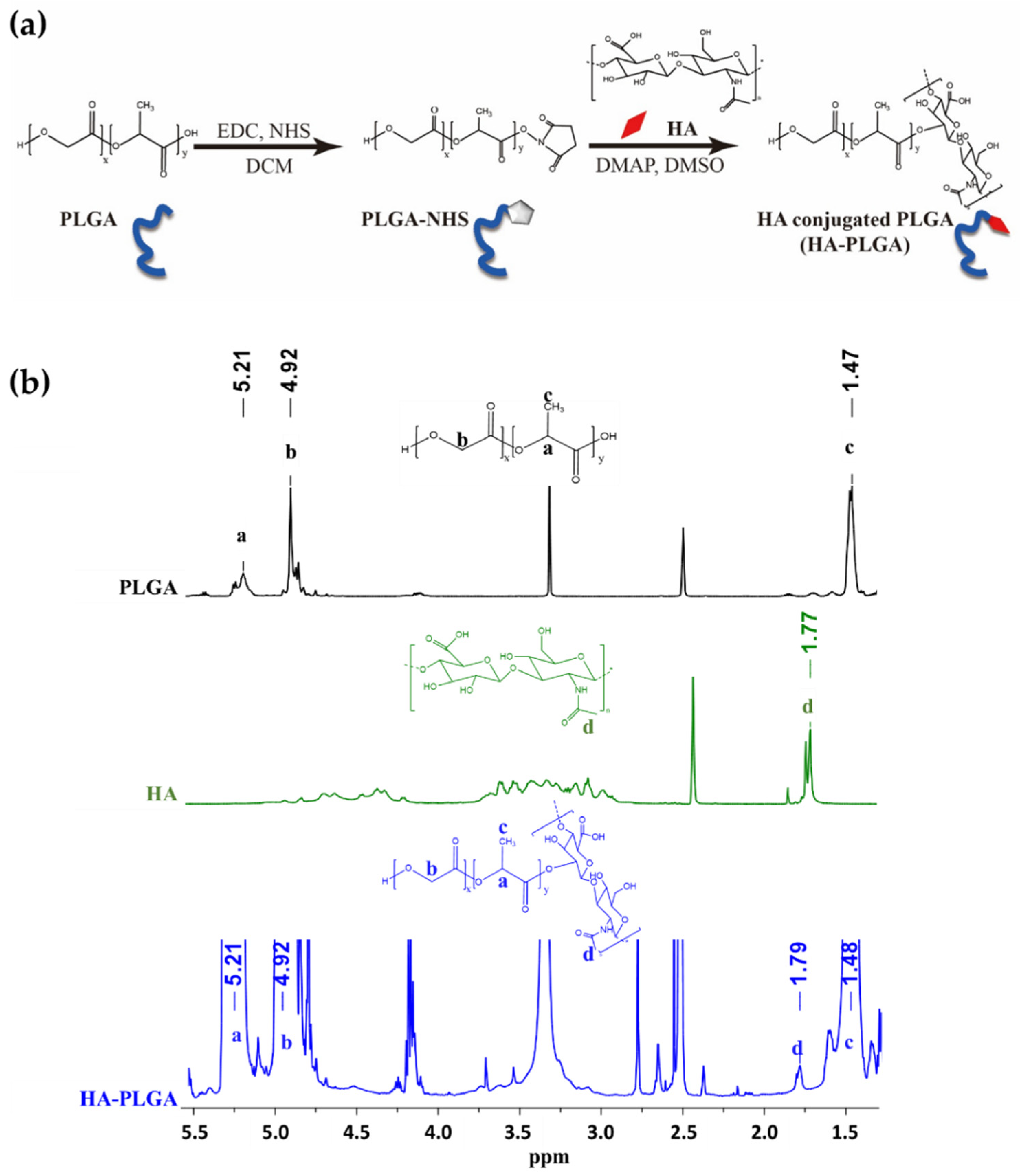 Pharmaceutics 14 02118 g001 Pharmaceutics 14 02118 g001