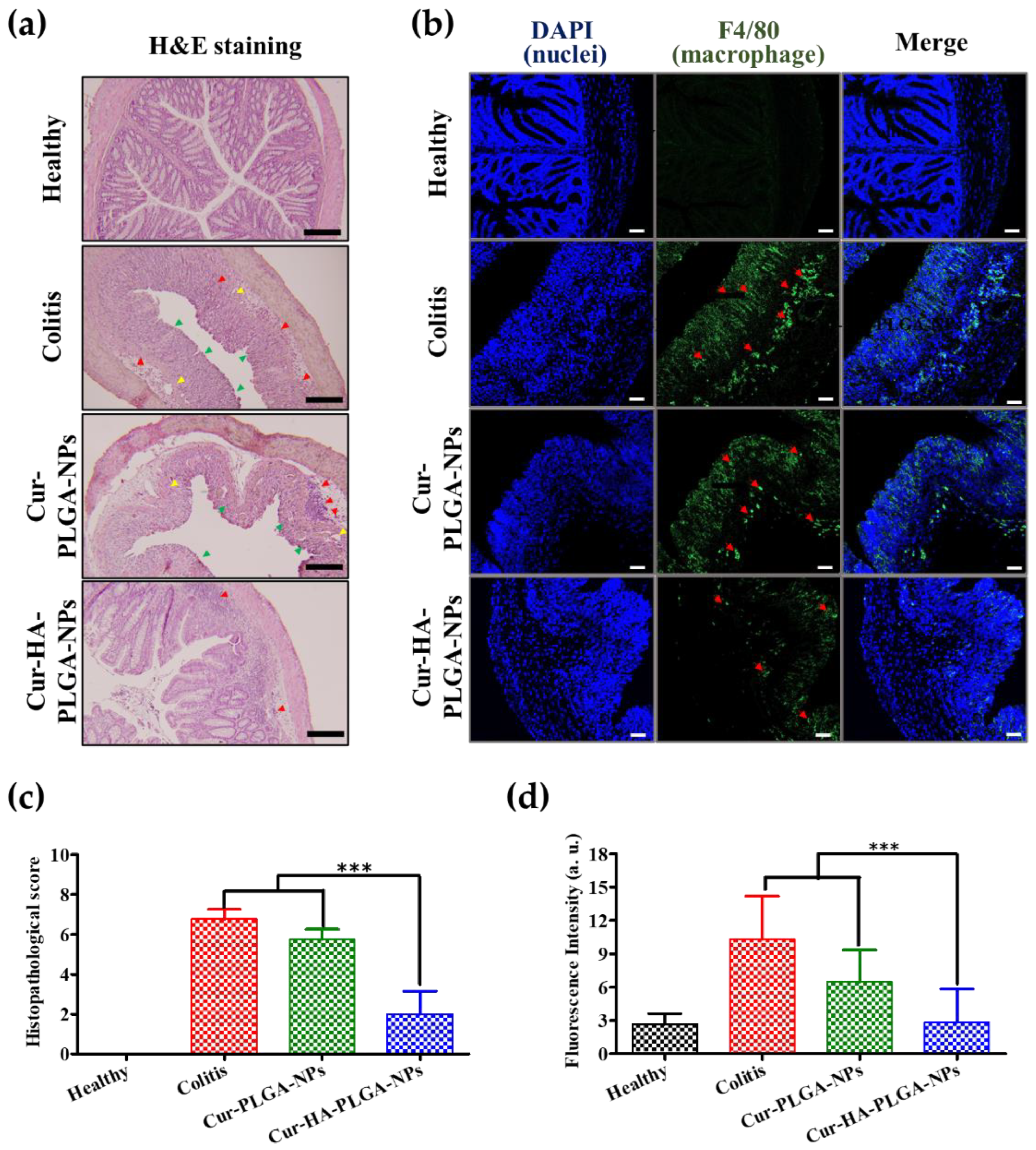 Pharmaceutics 14 02118 g006 Pharmaceutics 14 02118 g006