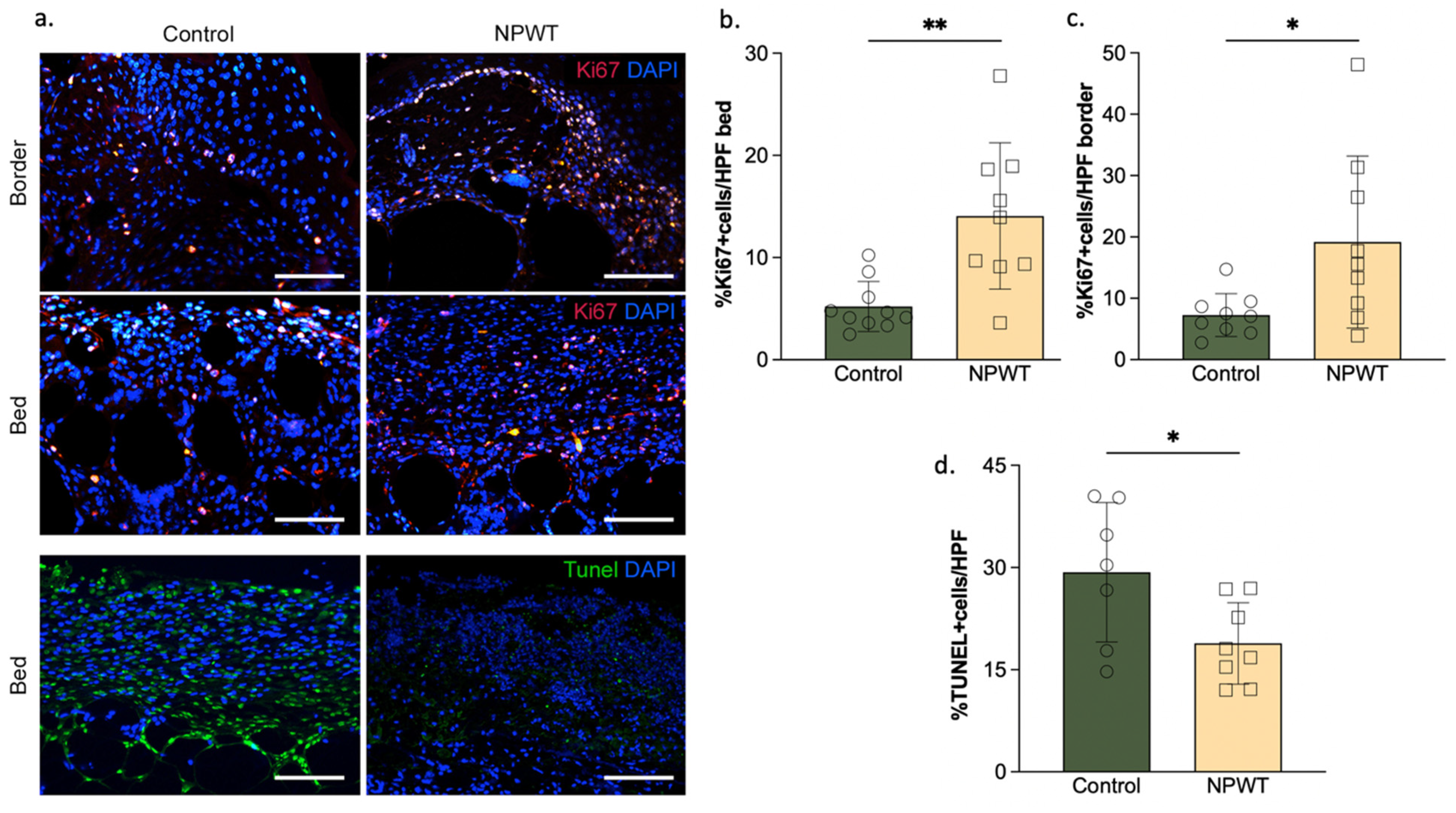 Pharmaceutics 14 02125 g005 Pharmaceutics 14 02125 g005