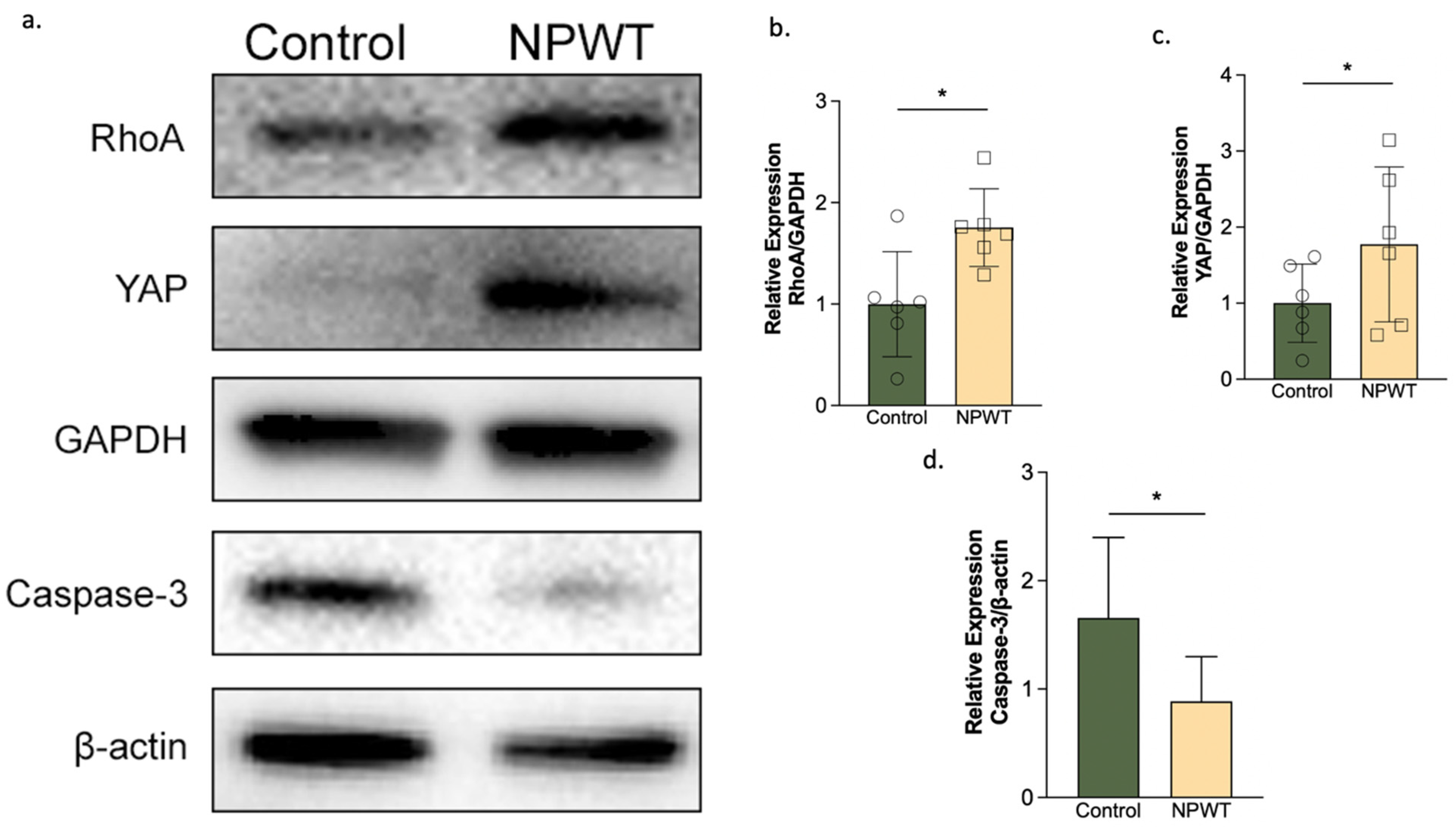 Pharmaceutics 14 02125 g006 Pharmaceutics 14 02125 g006