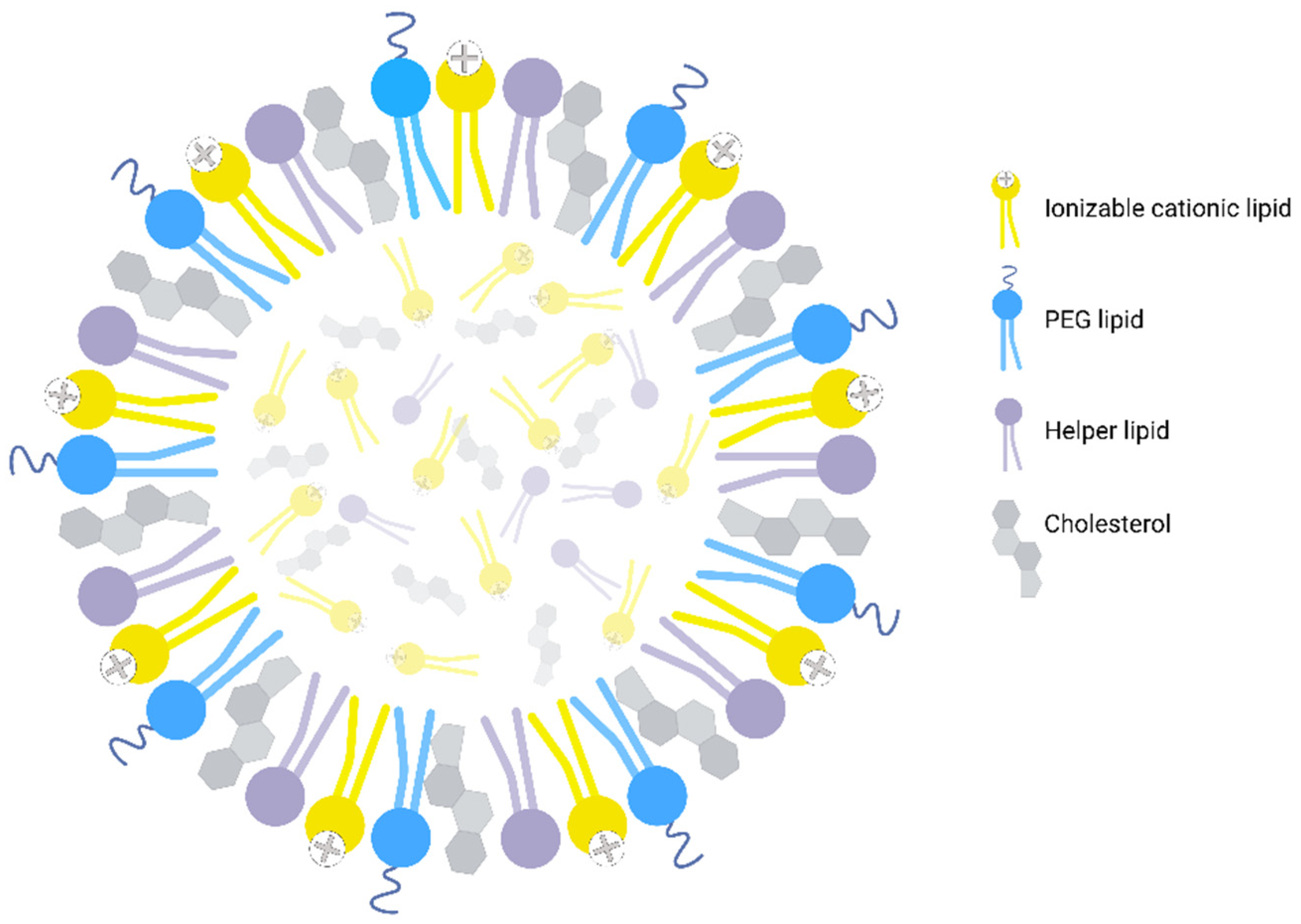 Pharmaceutics 14 02129 g001 Pharmaceutics 14 02129 g001