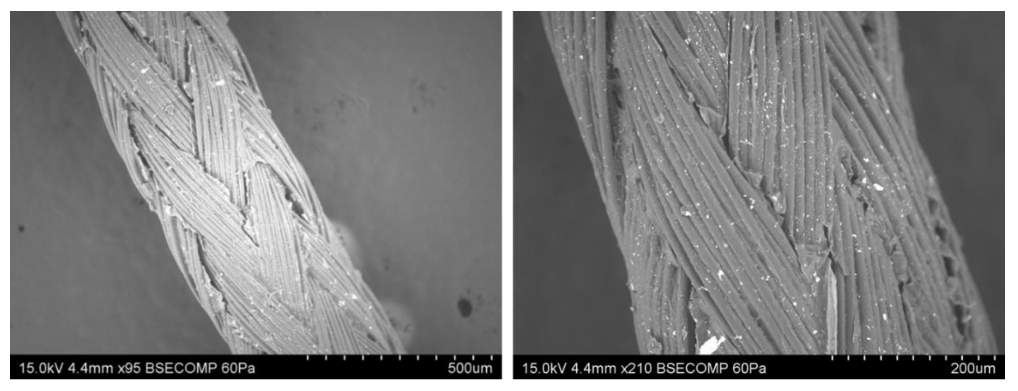 Pharmaceutics 14 02130 g002 Pharmaceutics 14 02130 g002