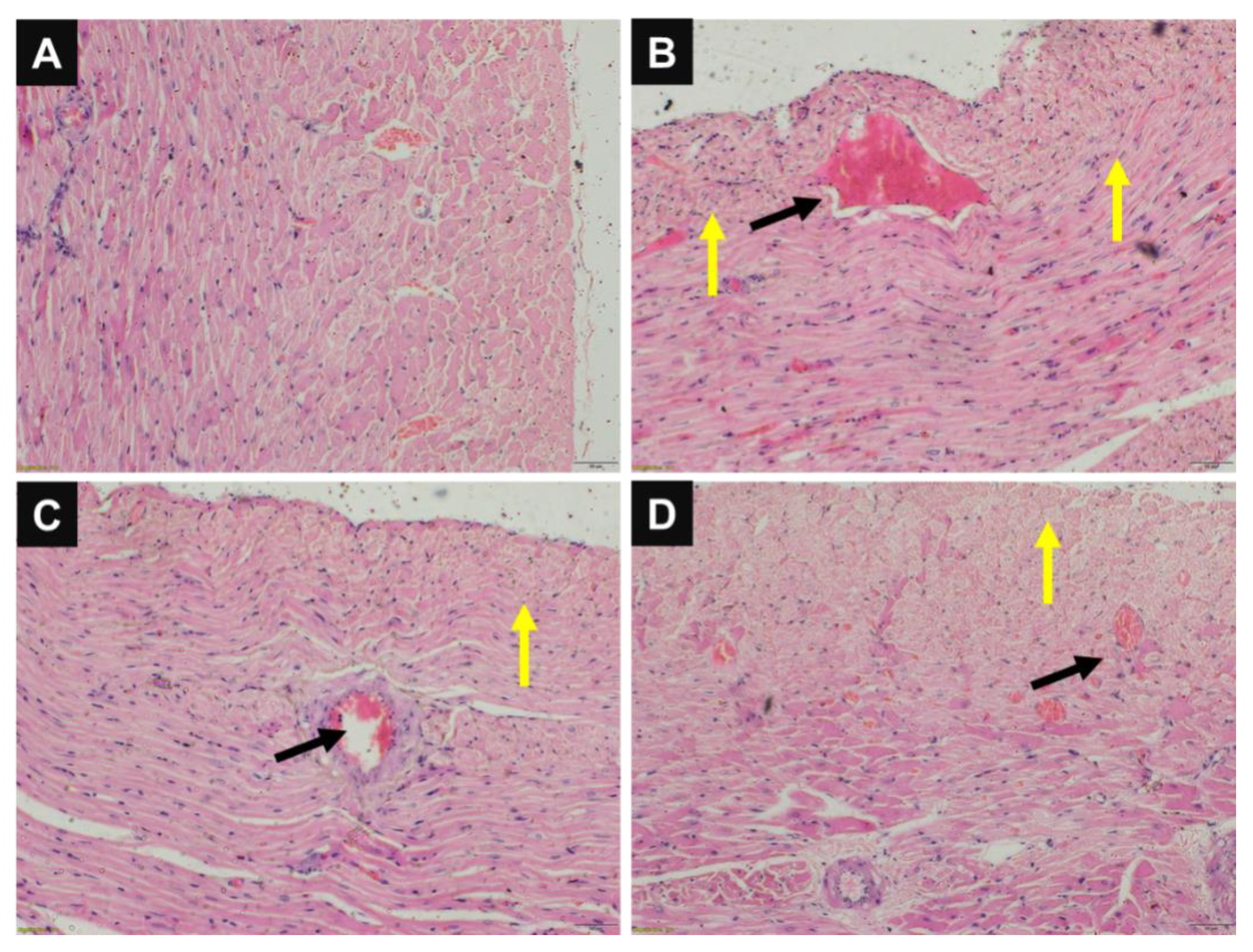 Pharmaceutics 14 02130 g005 Pharmaceutics 14 02130 g005