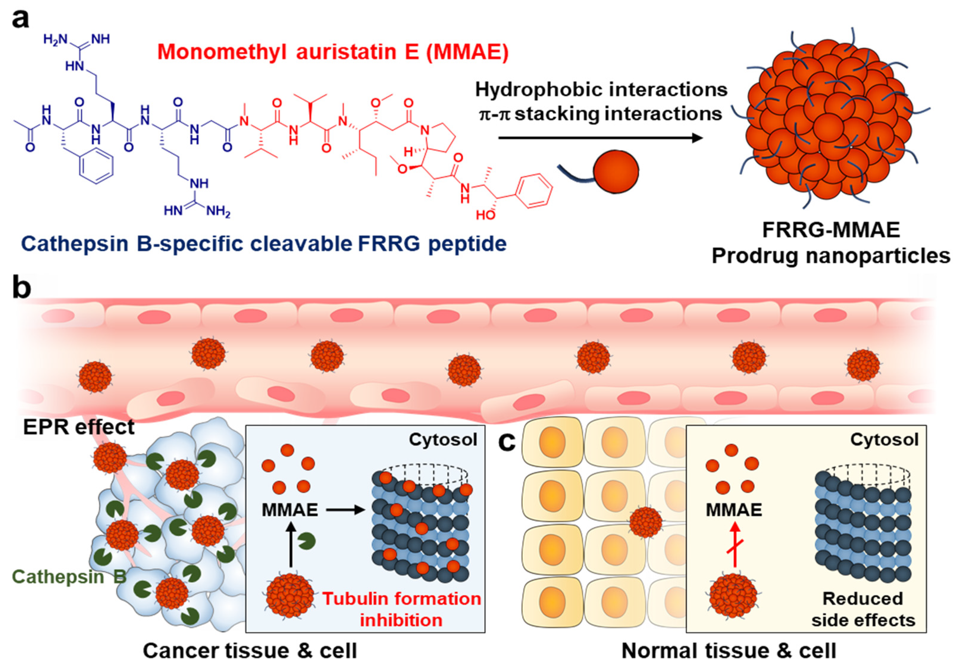 Pharmaceutics 14 02131 g001