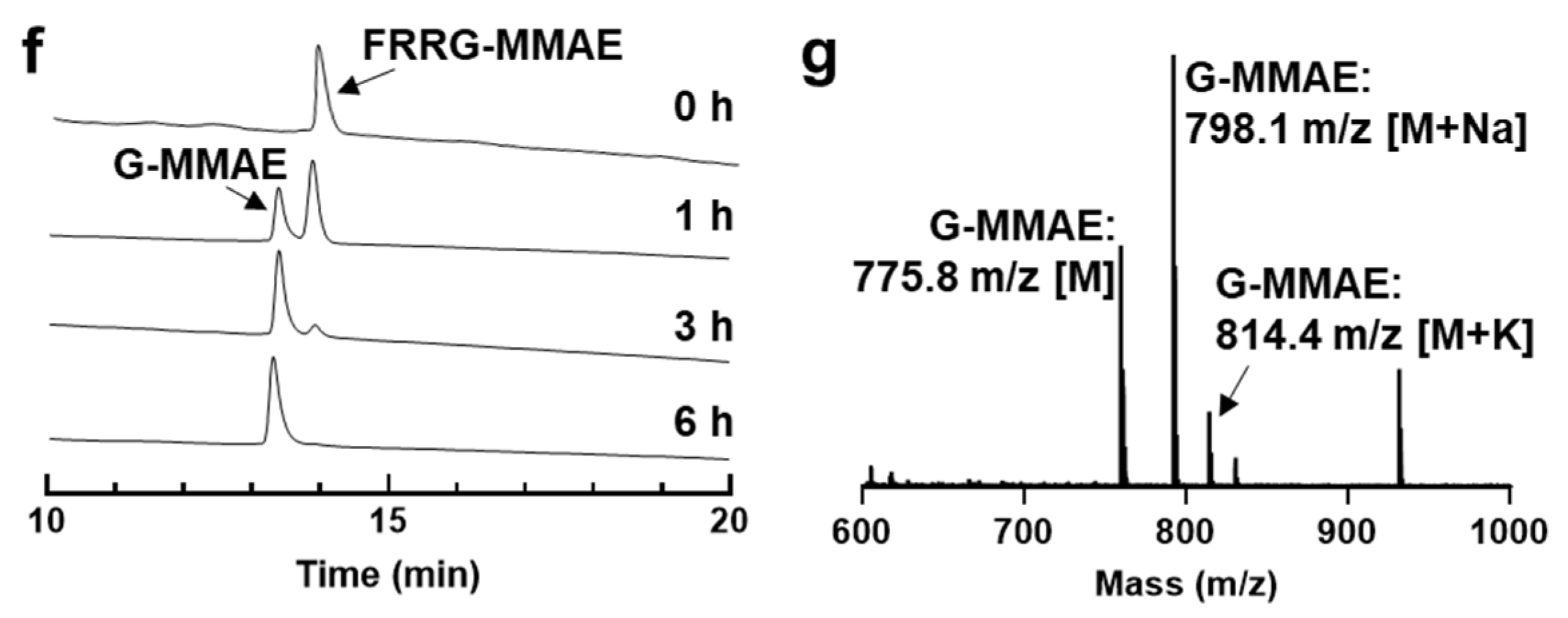 Pharmaceutics 14 02131 g003b