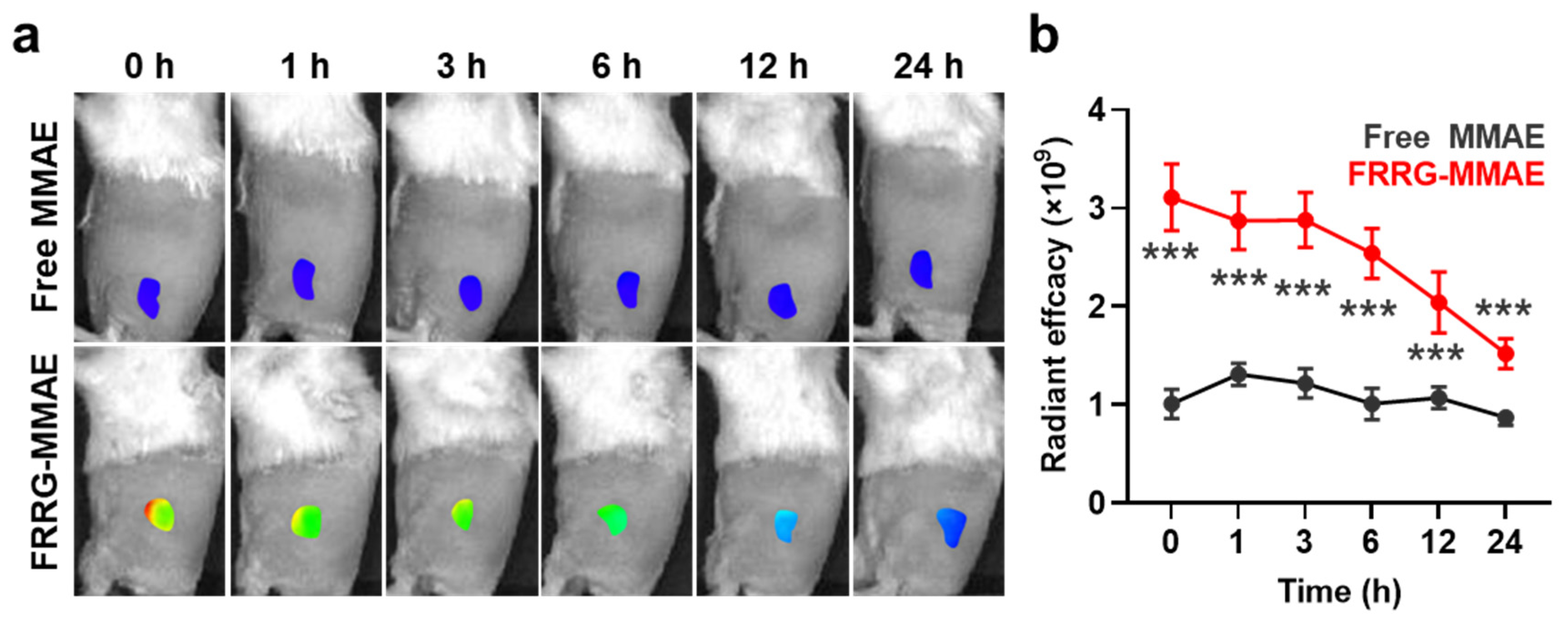 Pharmaceutics 14 02131 g005