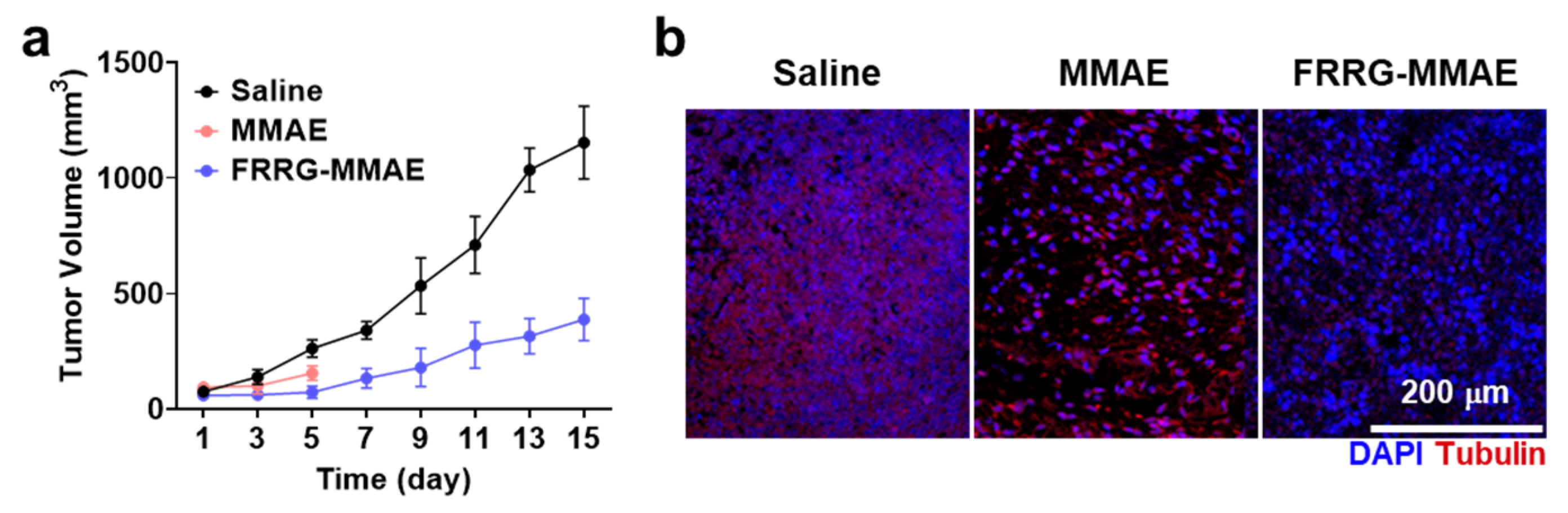 Pharmaceutics 14 02131 g006a