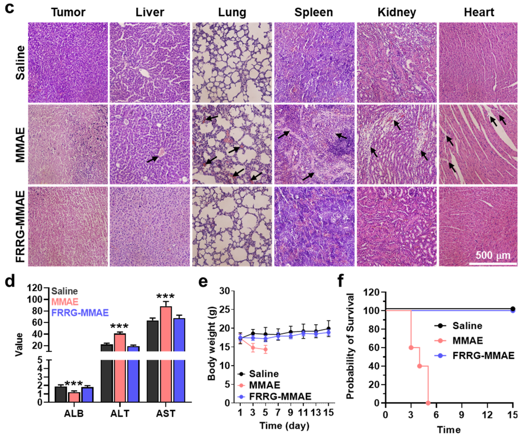 Pharmaceutics 14 02131 g006b