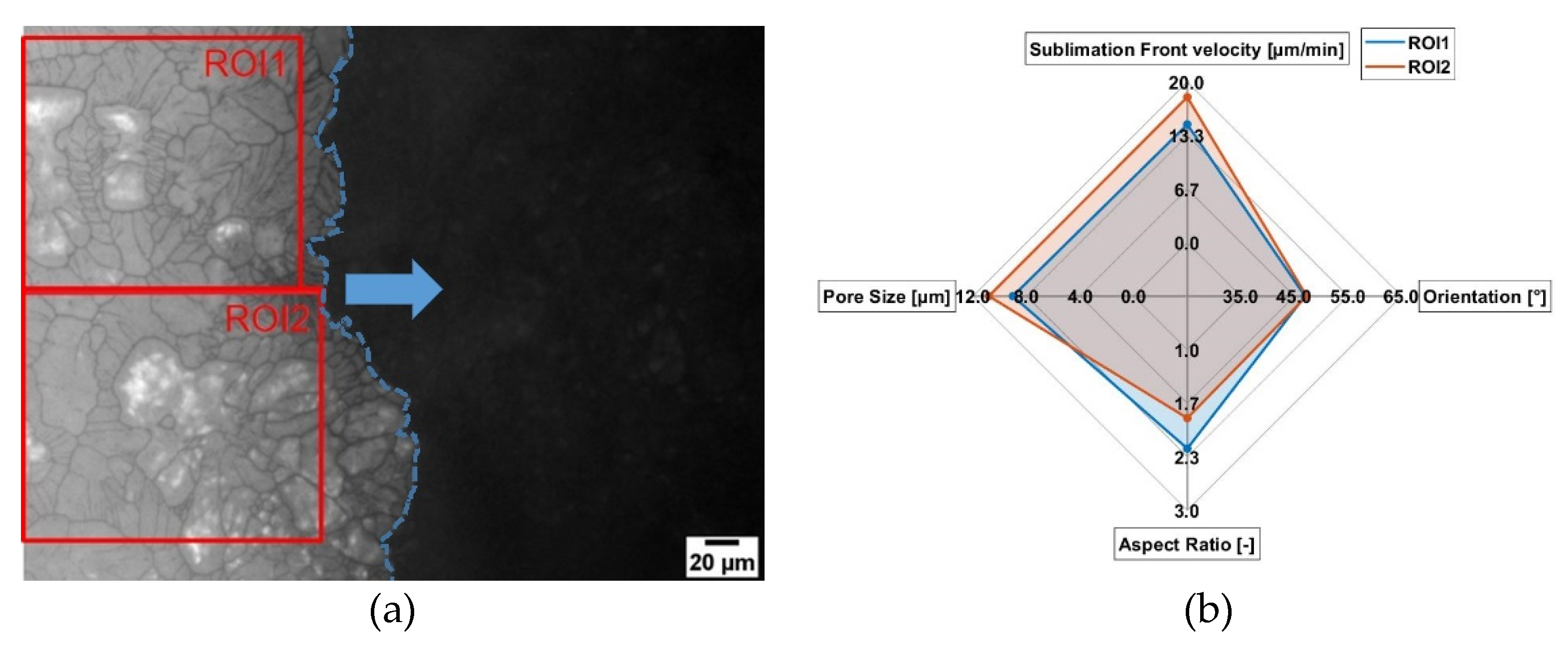 Pharmaceutics 14 02132 g009 Pharmaceutics 14 02132 g009