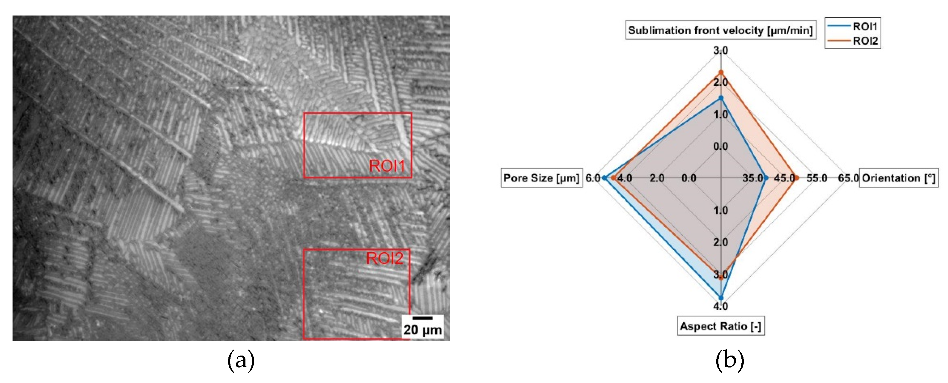 Pharmaceutics 14 02132 g011 Pharmaceutics 14 02132 g011
