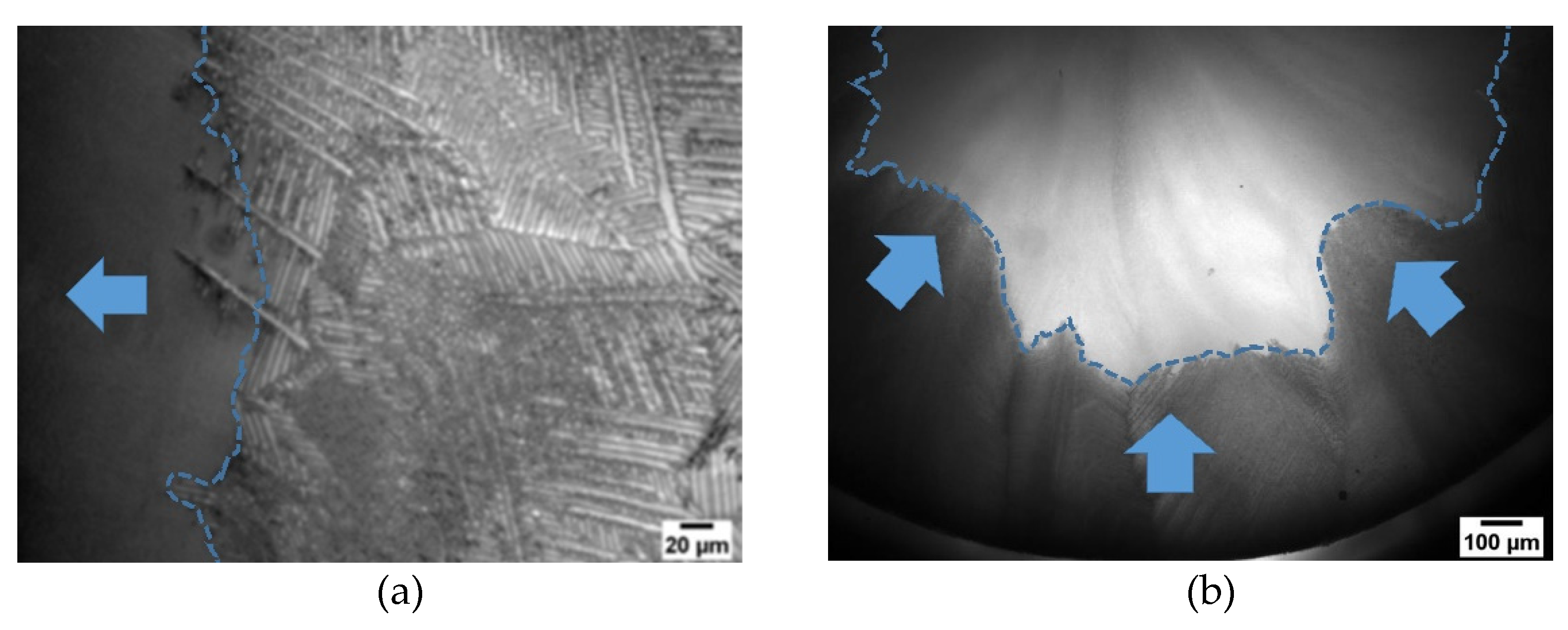 Pharmaceutics 14 02132 g012 Pharmaceutics 14 02132 g012