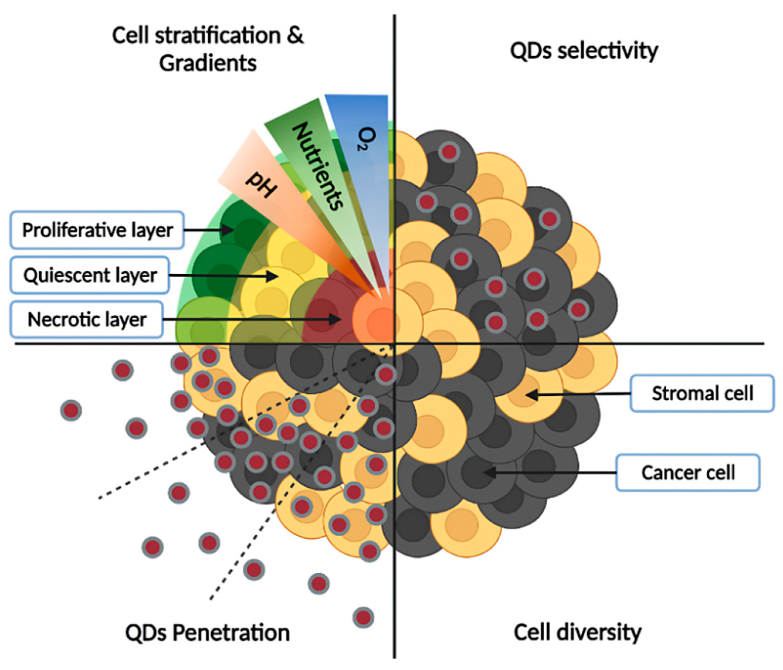 Pharmaceutics 14 02136 g003 Pharmaceutics 14 02136 g003