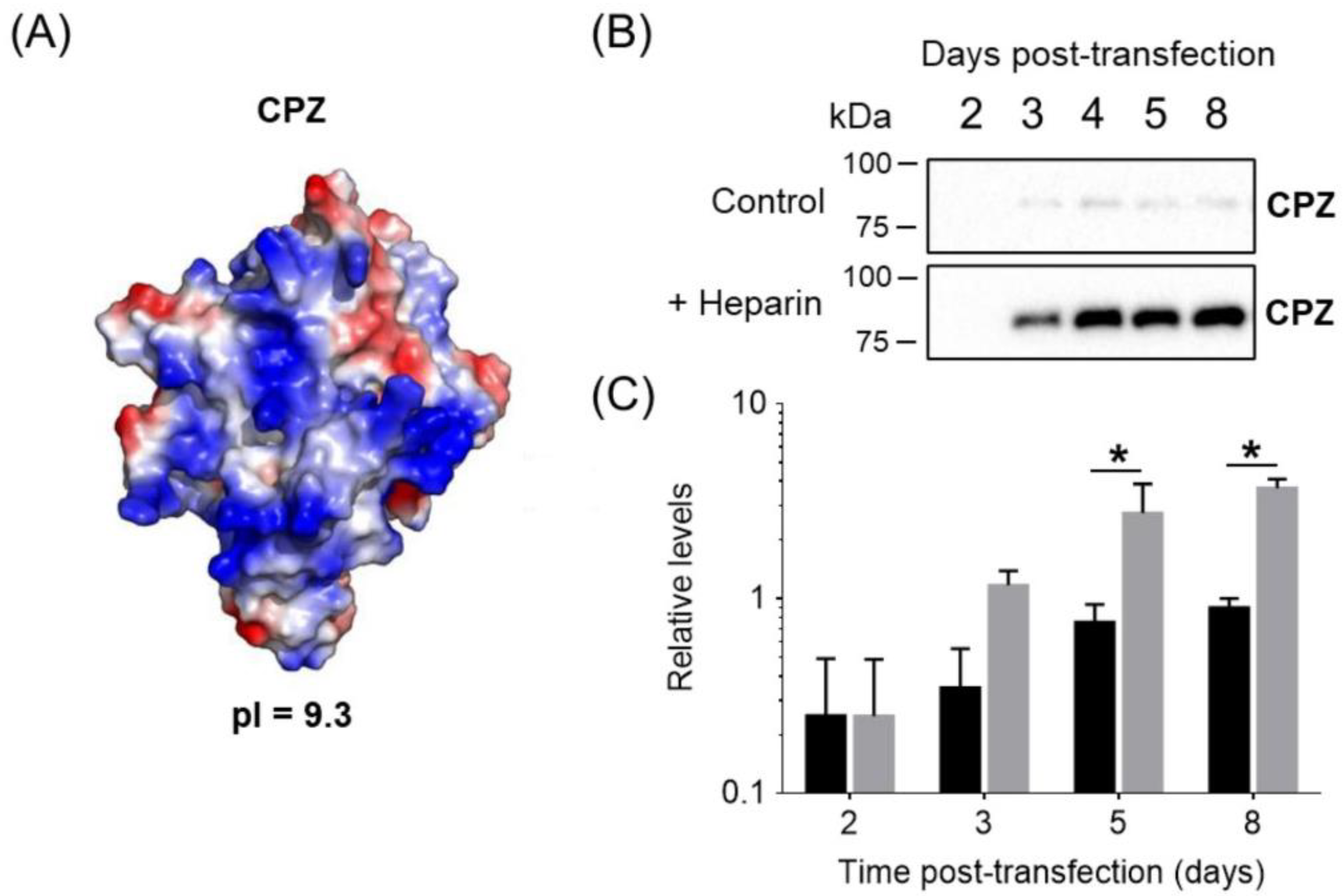 Pharmaceutics 14 02138 g002