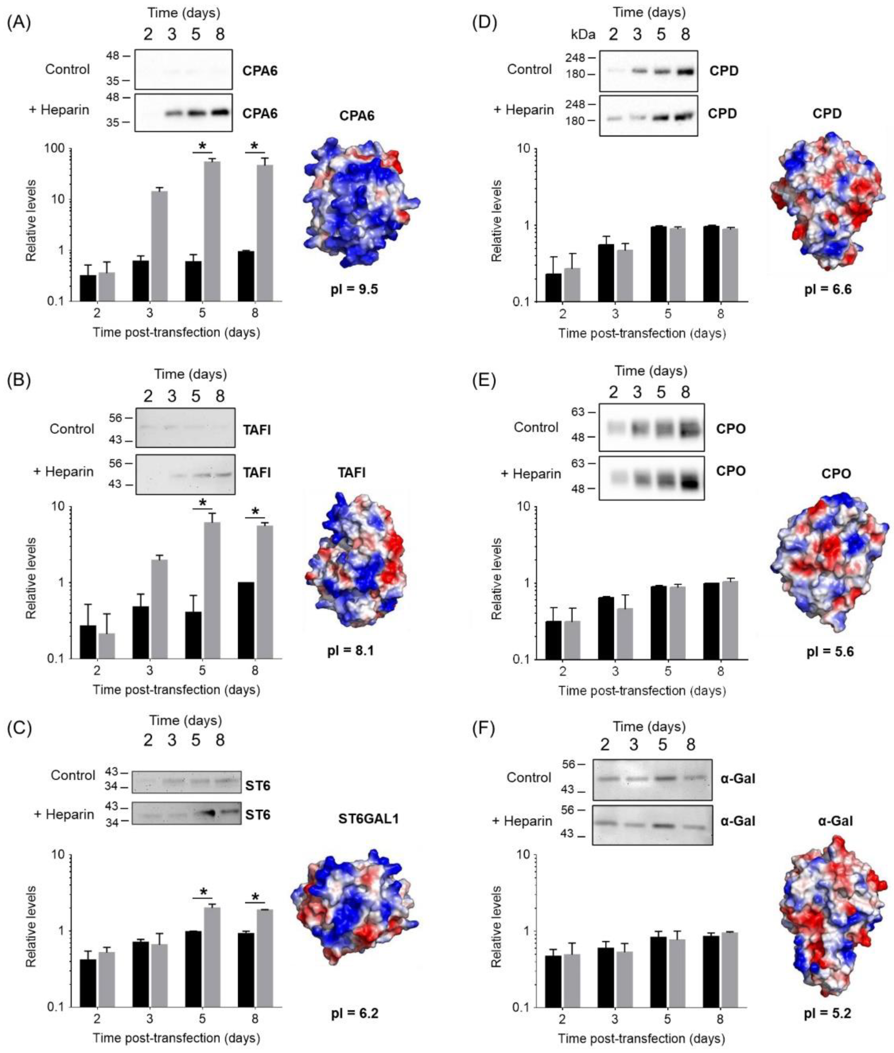 Pharmaceutics 14 02138 g003