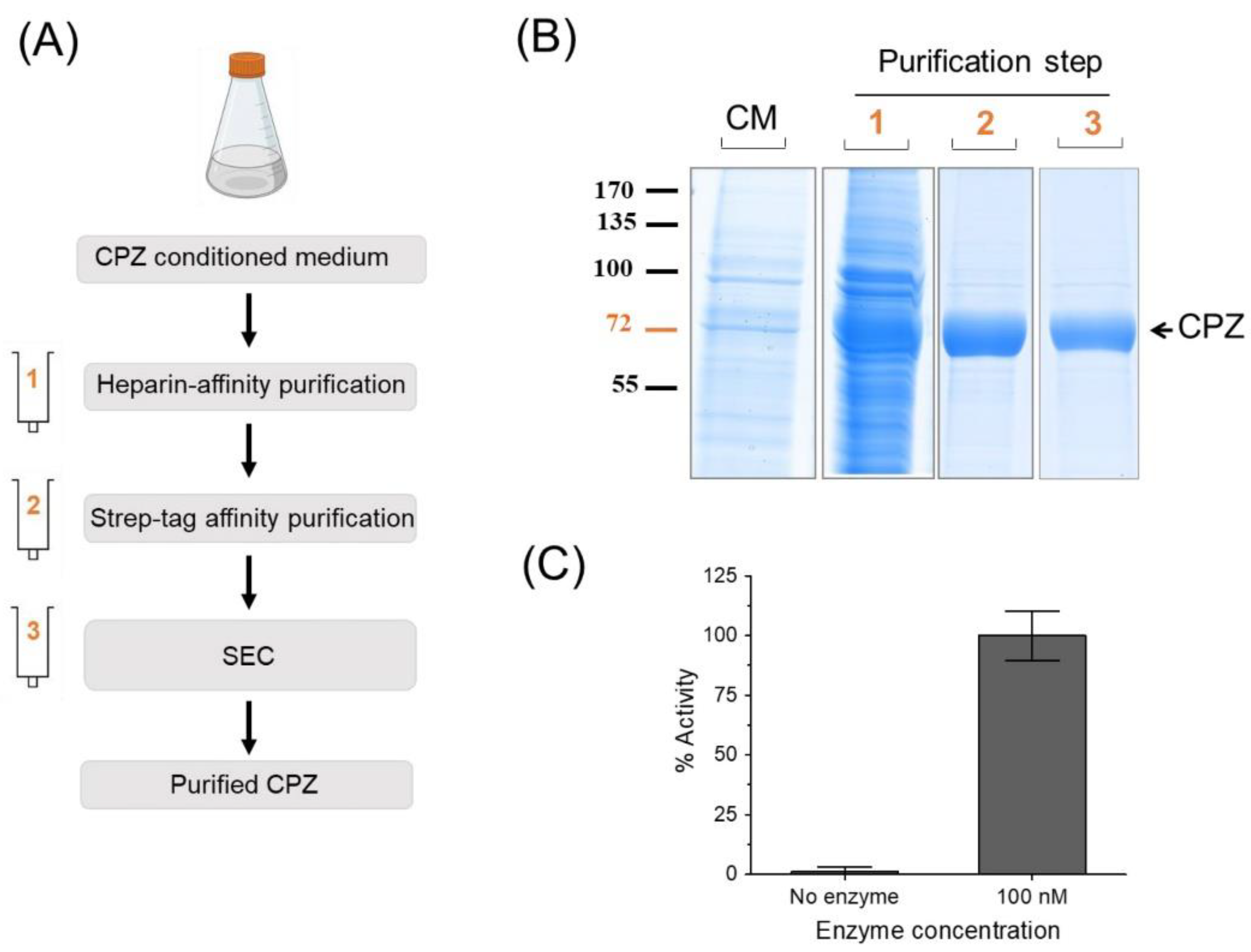 Pharmaceutics 14 02138 g004