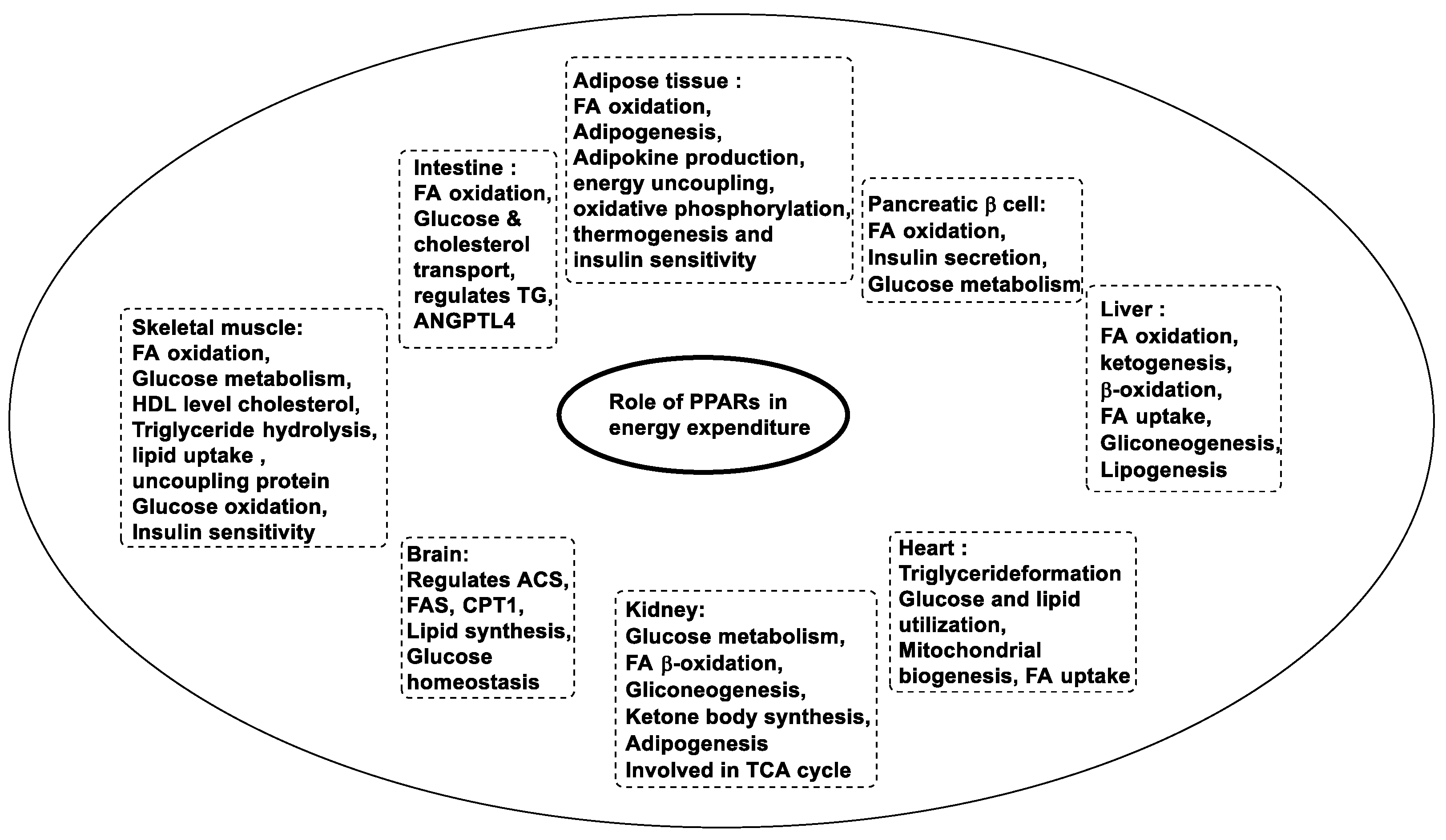 Pharmaceutics 14 02139 g004