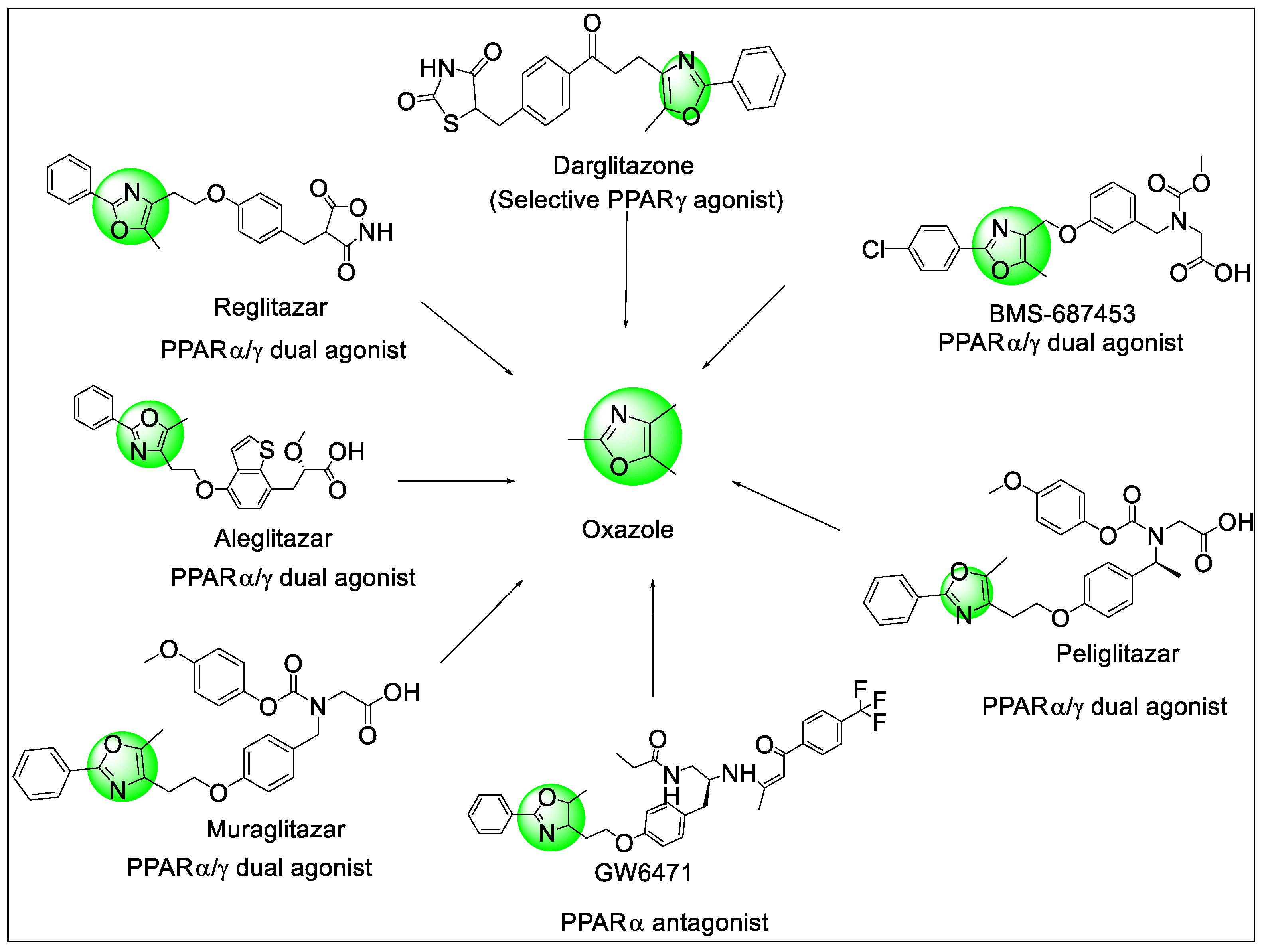 Pharmaceutics 14 02139 g015