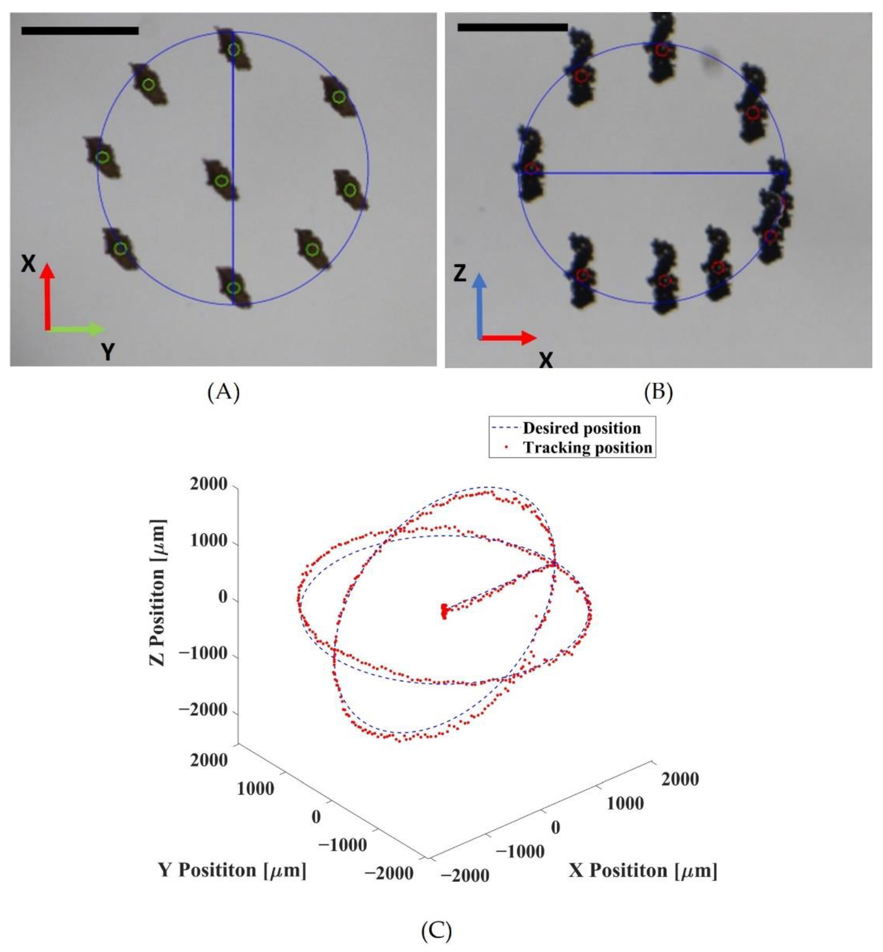 Pharmaceutics 14 02143 g006 Pharmaceutics 14 02143 g006