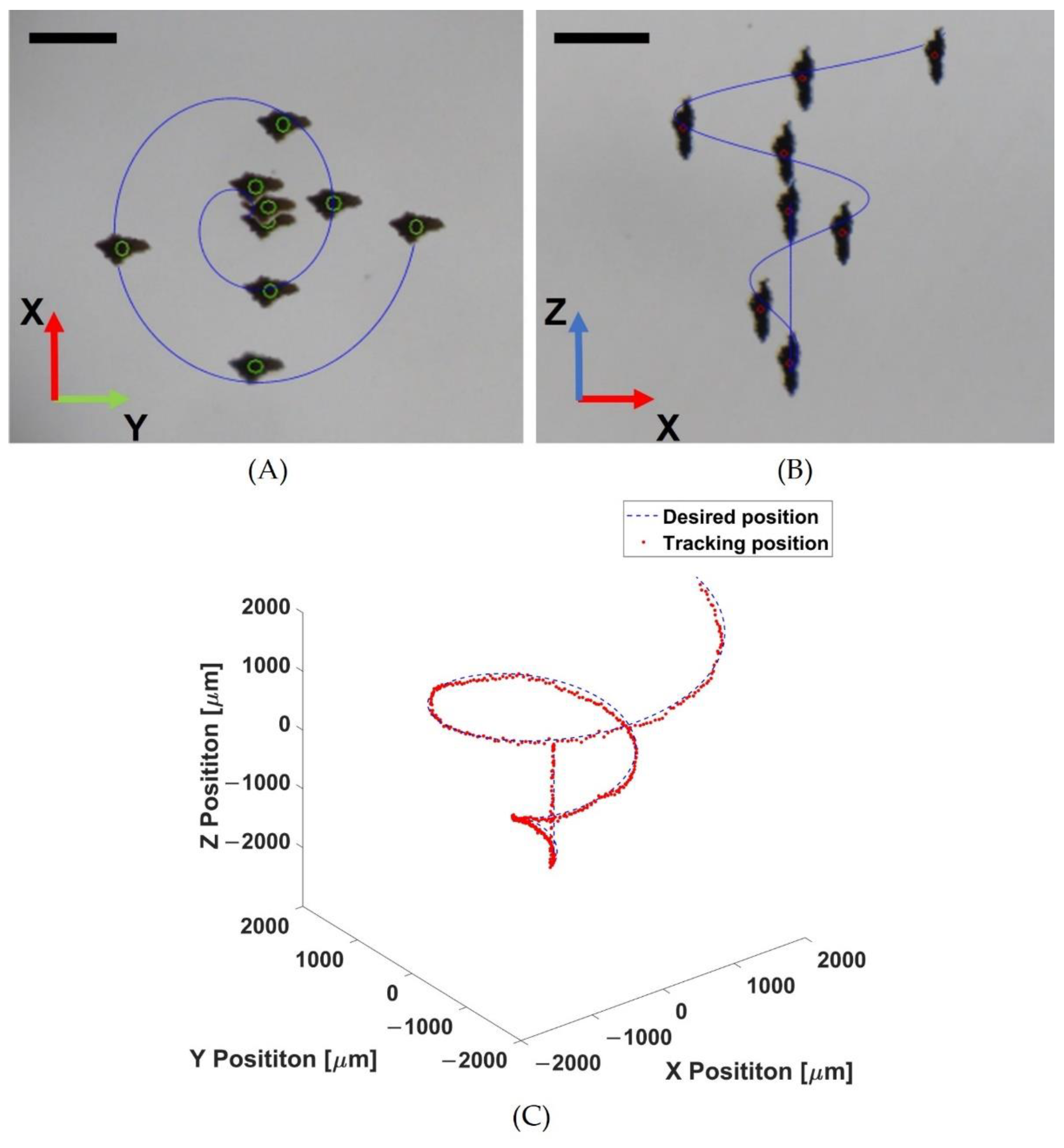 Pharmaceutics 14 02143 g007 Pharmaceutics 14 02143 g007