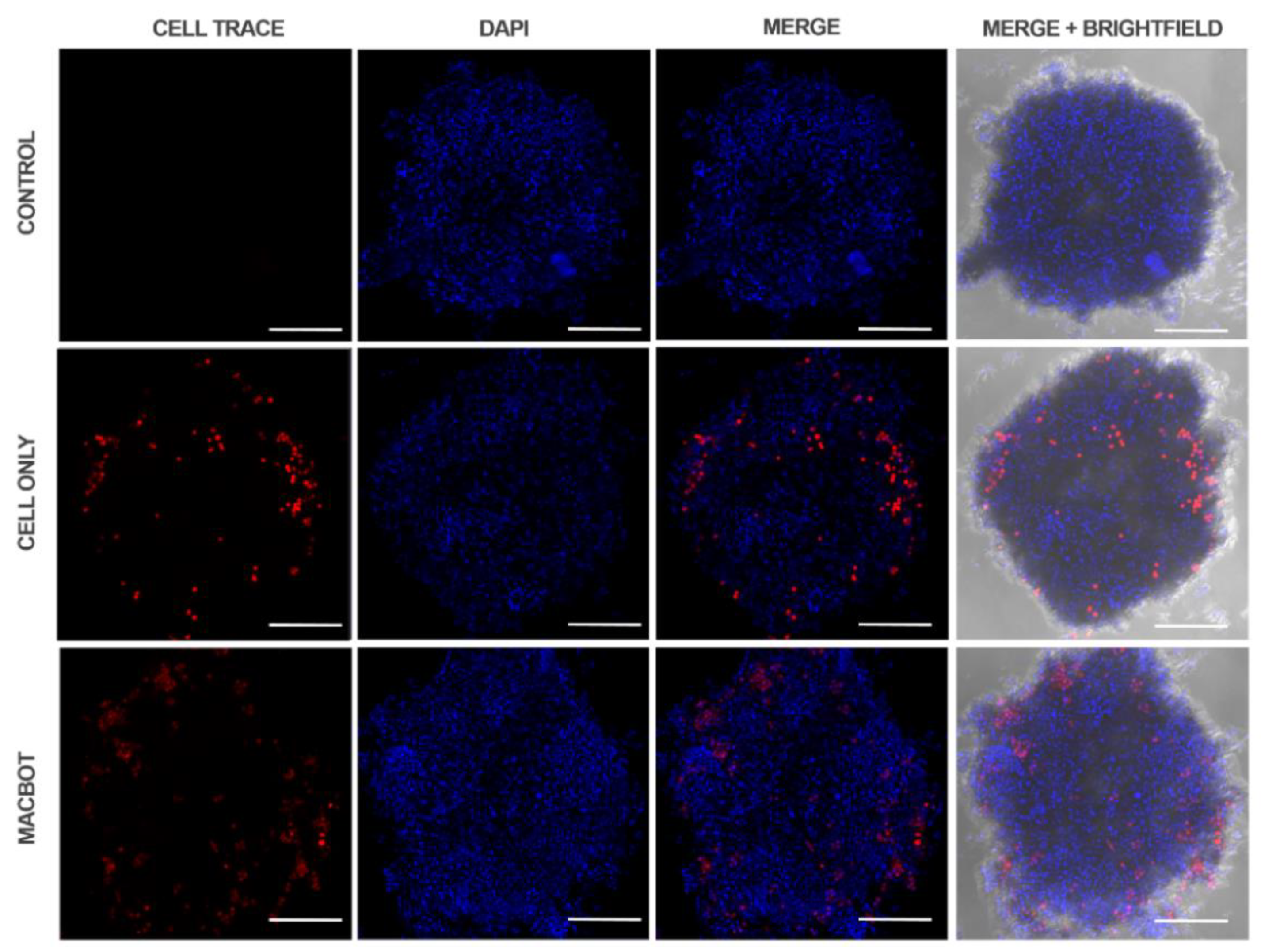 Pharmaceutics 14 02143 g009 Pharmaceutics 14 02143 g009