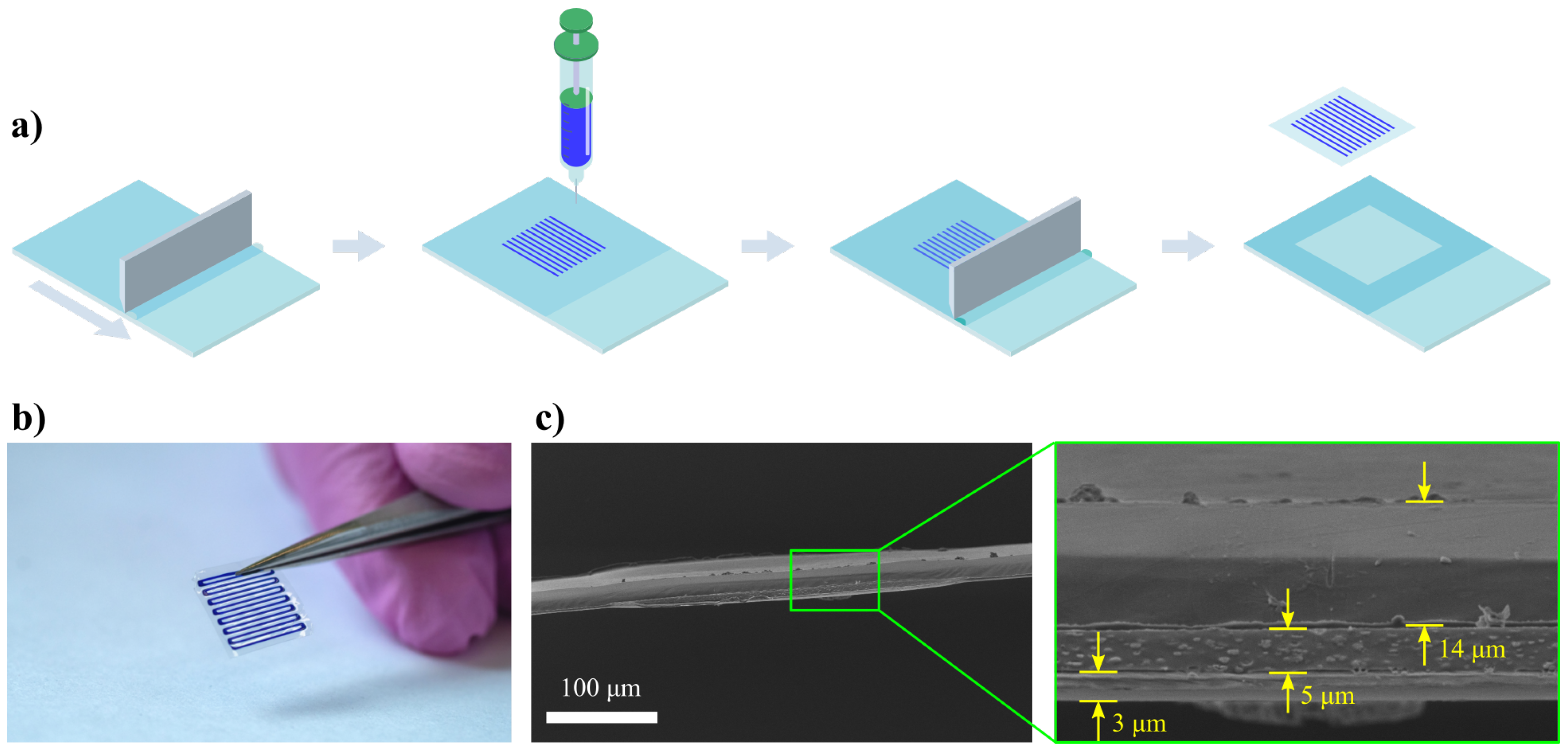 Pharmaceutics 14 02144 g001