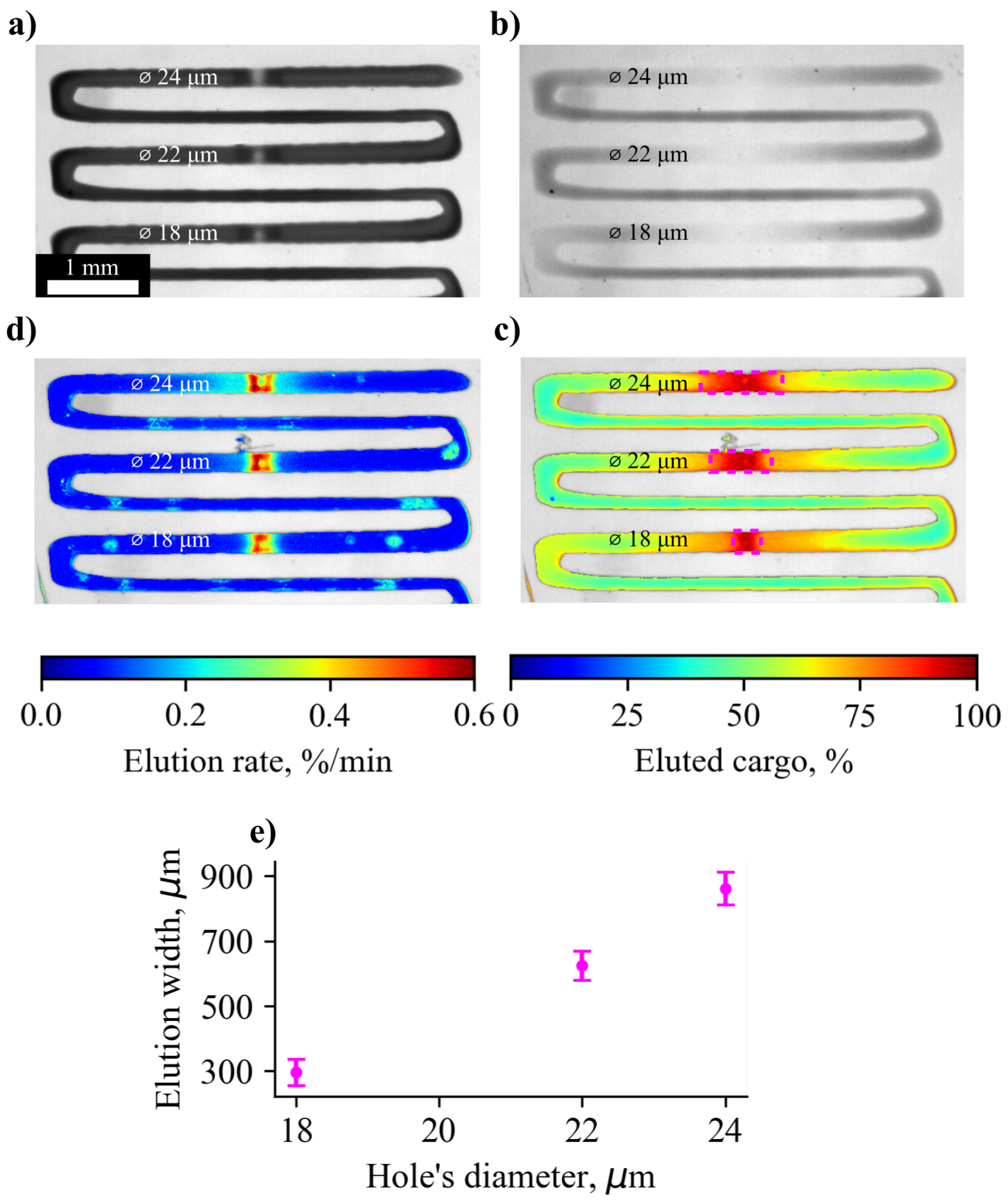 Pharmaceutics 14 02144 g003