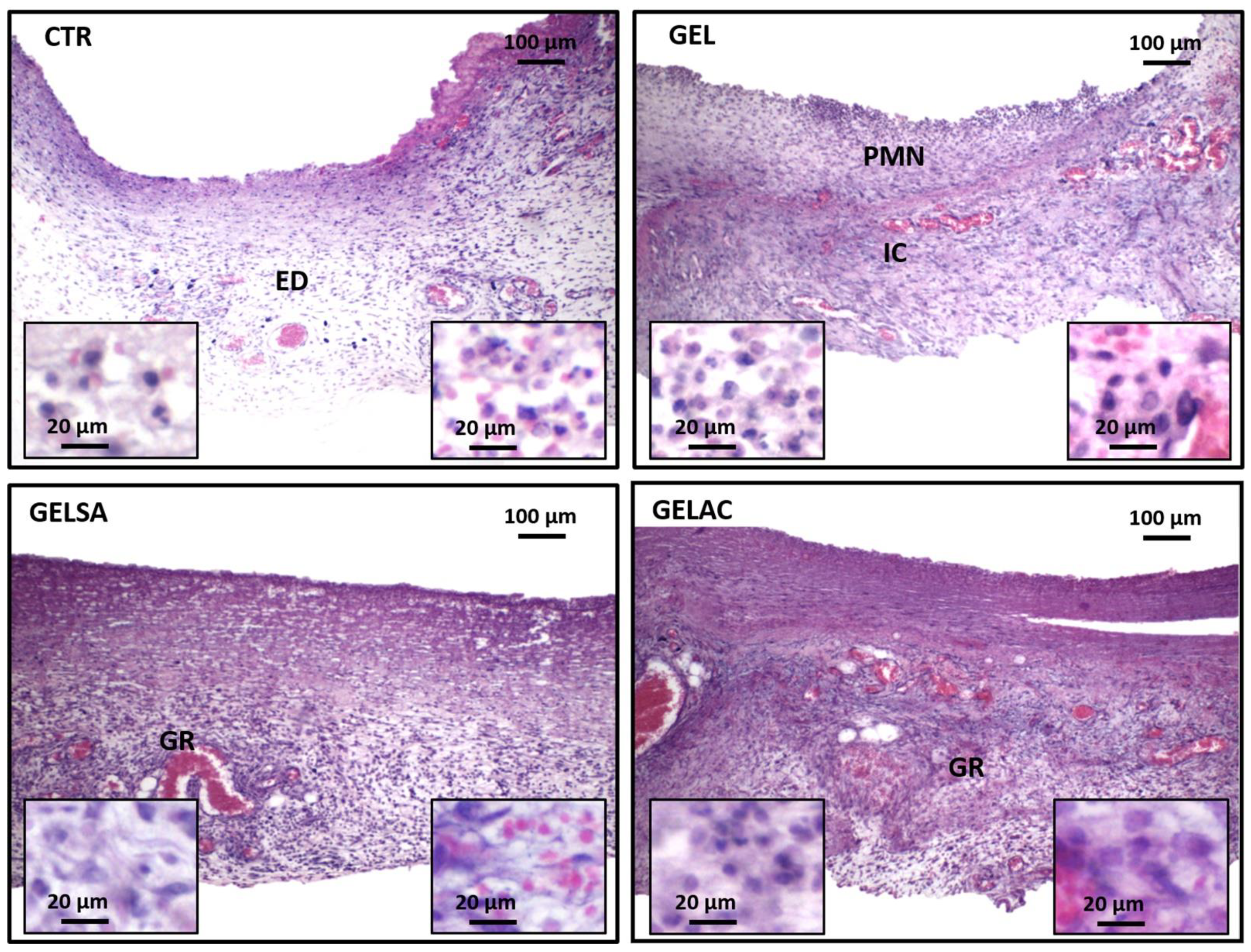 Pharmaceutics 14 02150 g011 Pharmaceutics 14 02150 g011