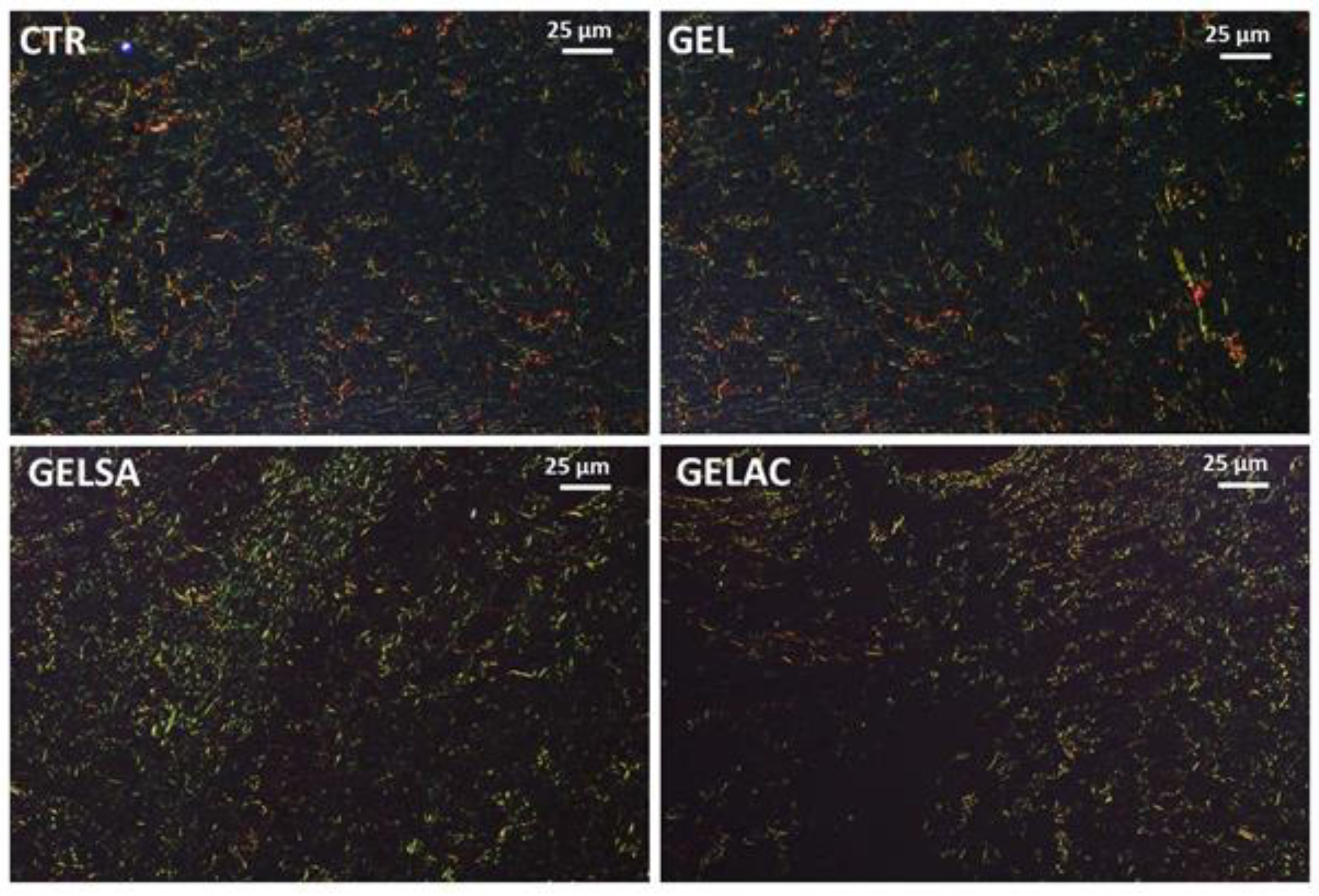 Pharmaceutics 14 02150 g015 Pharmaceutics 14 02150 g015