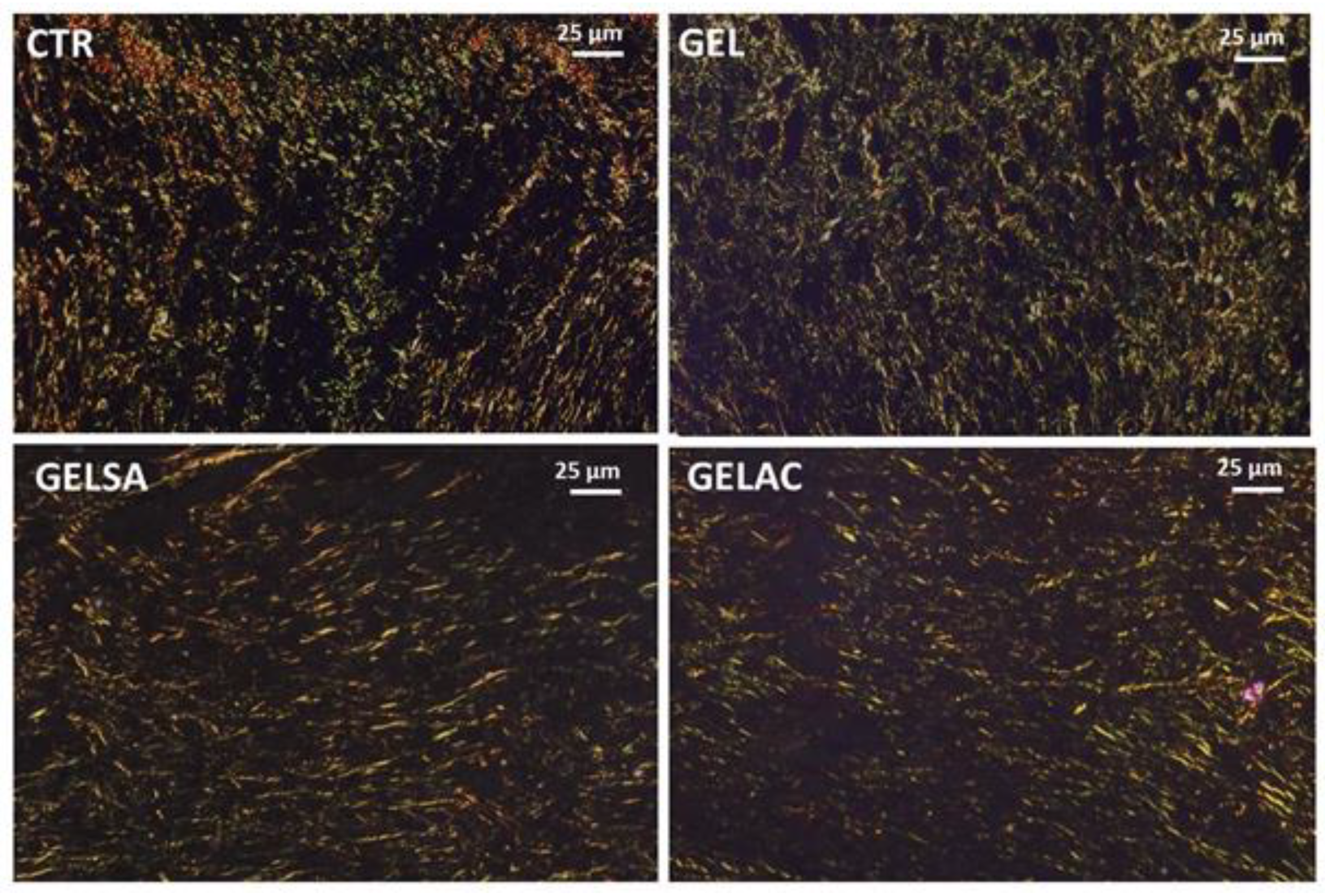 Pharmaceutics 14 02150 g016 Pharmaceutics 14 02150 g016