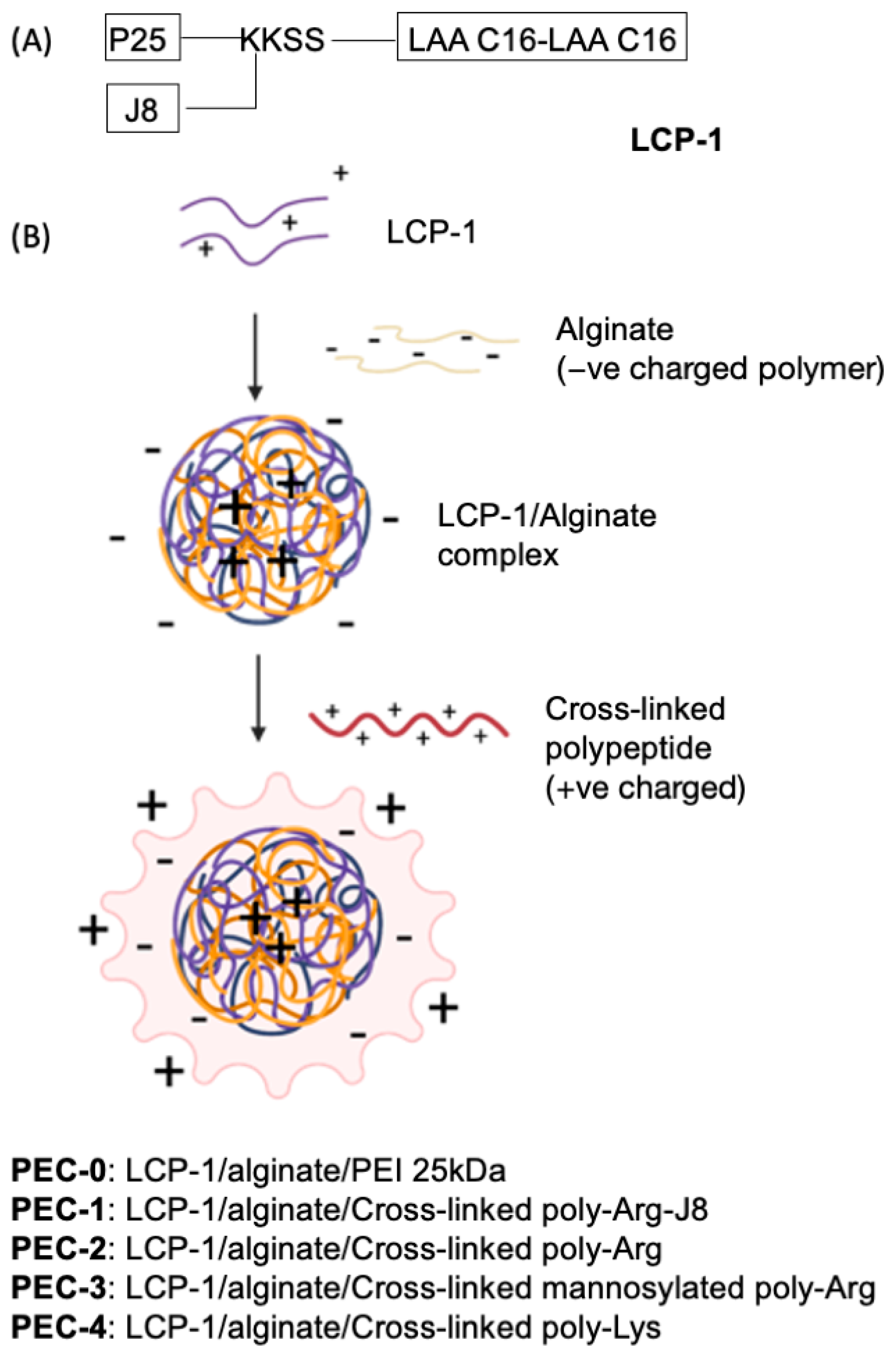 Pharmaceutics 14 02151 g001