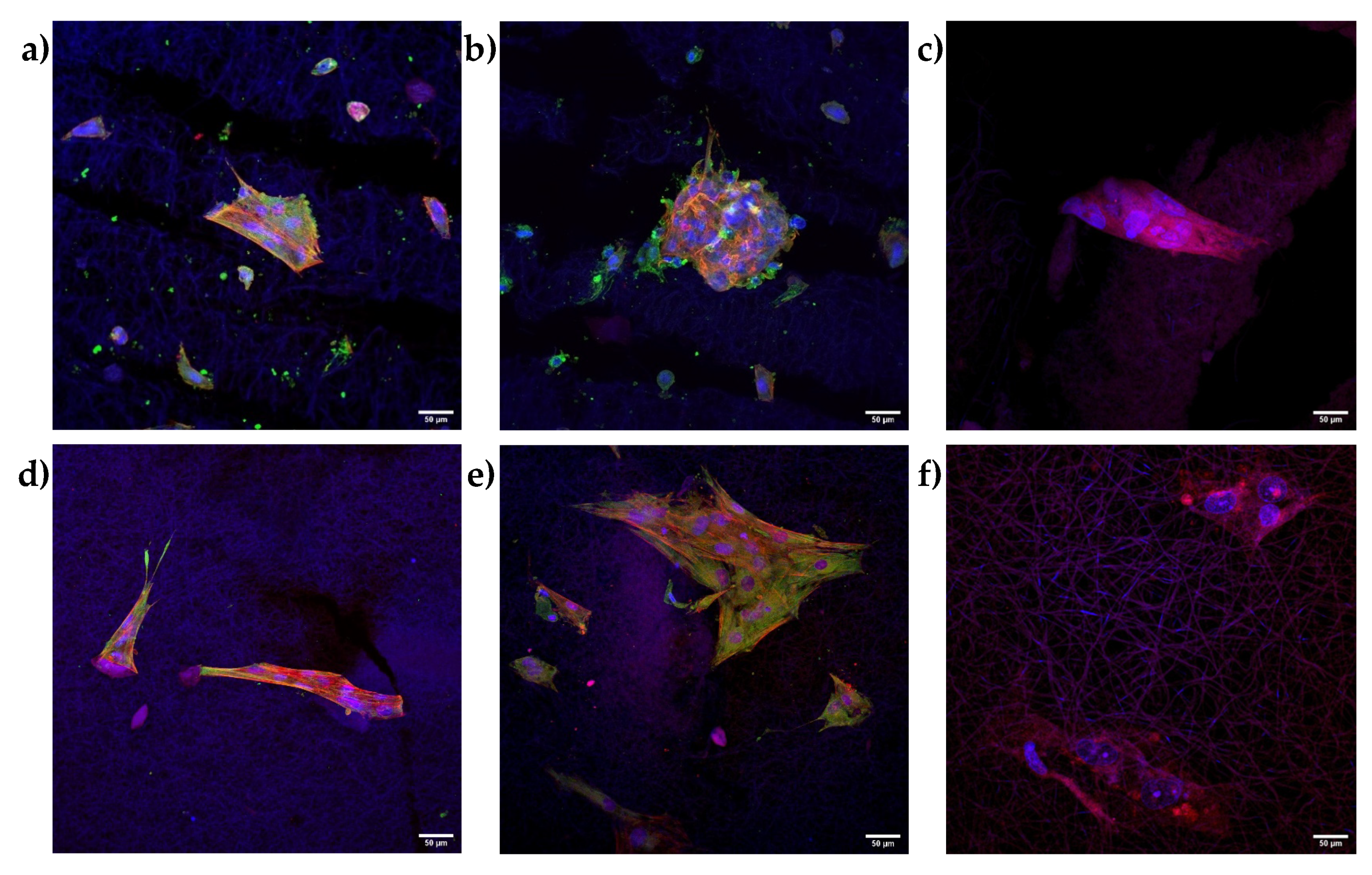 Pharmaceutics 14 02153 g009 Pharmaceutics 14 02153 g009