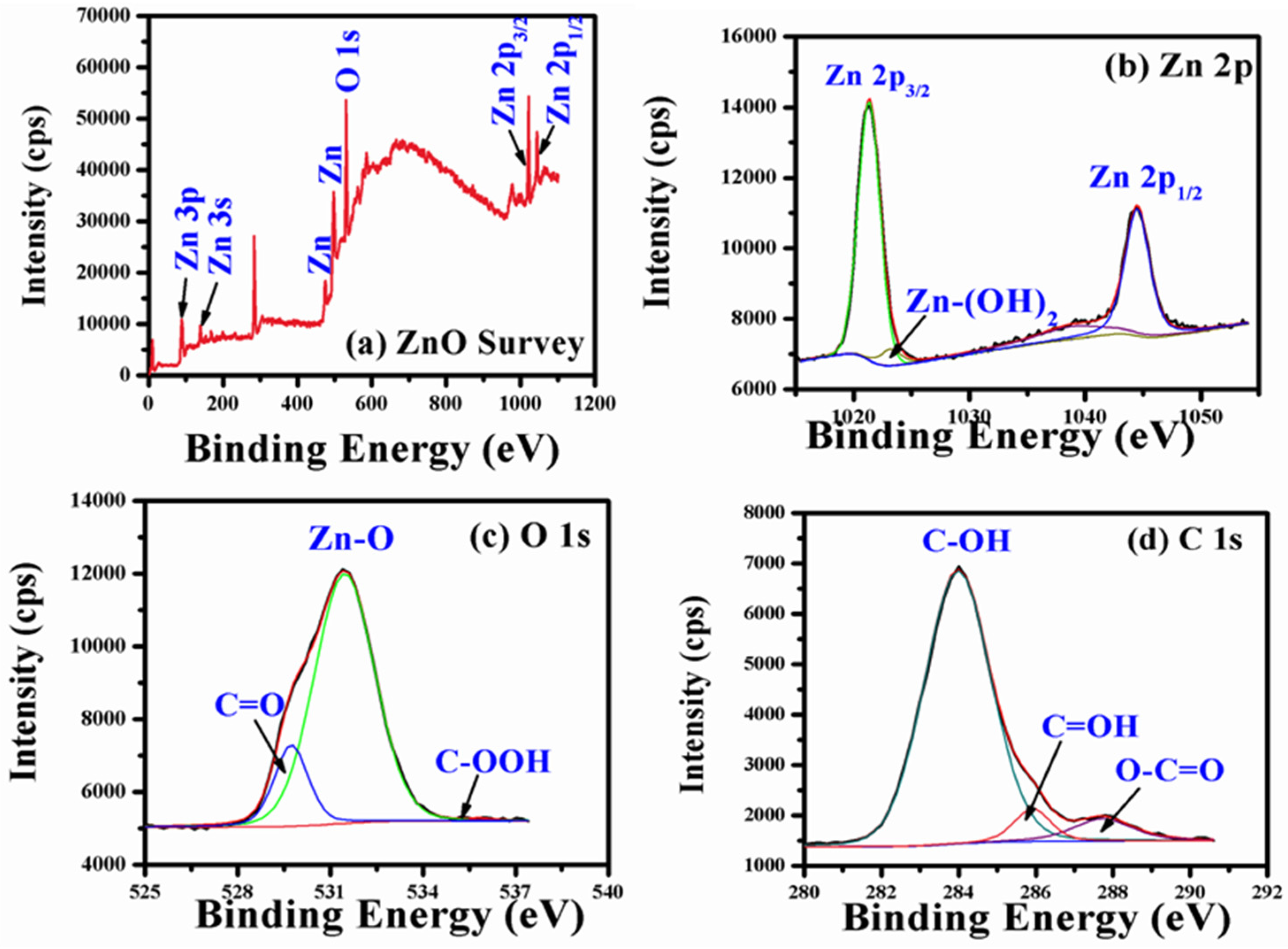 Pharmaceutics 14 02155 g007 Pharmaceutics 14 02155 g007