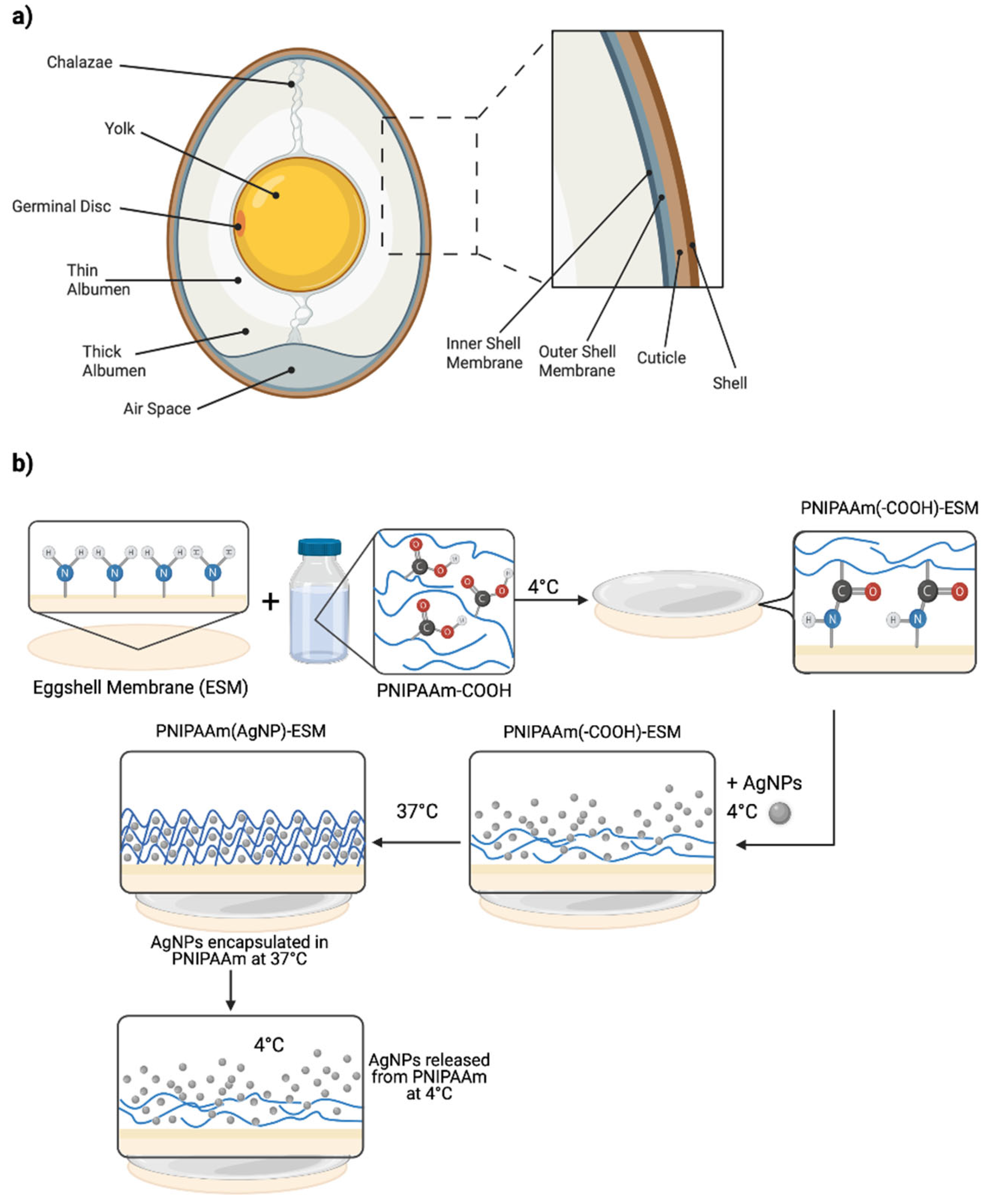 Pharmaceutics 14 02162 g001 Pharmaceutics 14 02162 g001