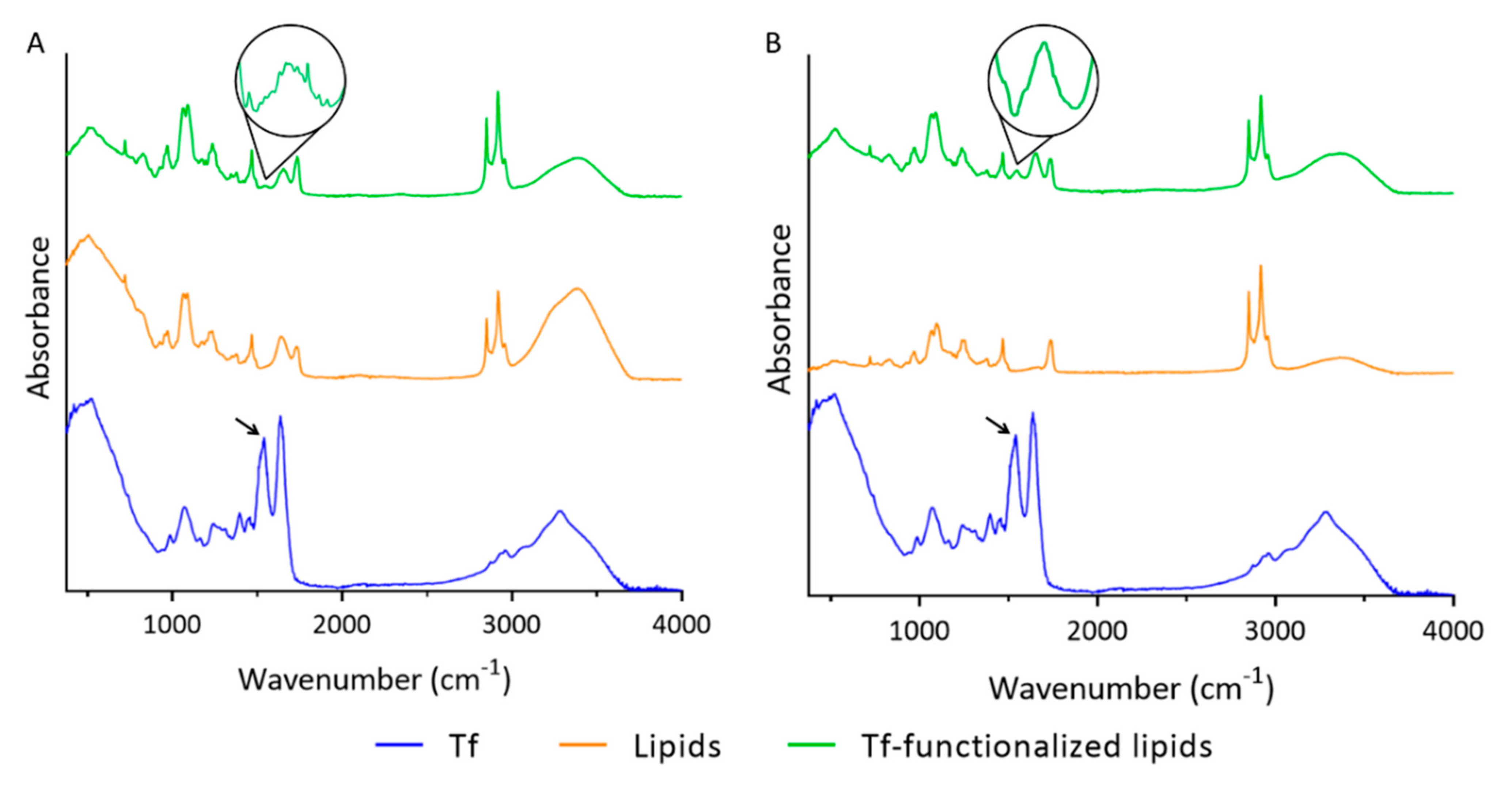 Pharmaceutics 14 02163 g003 Pharmaceutics 14 02163 g003