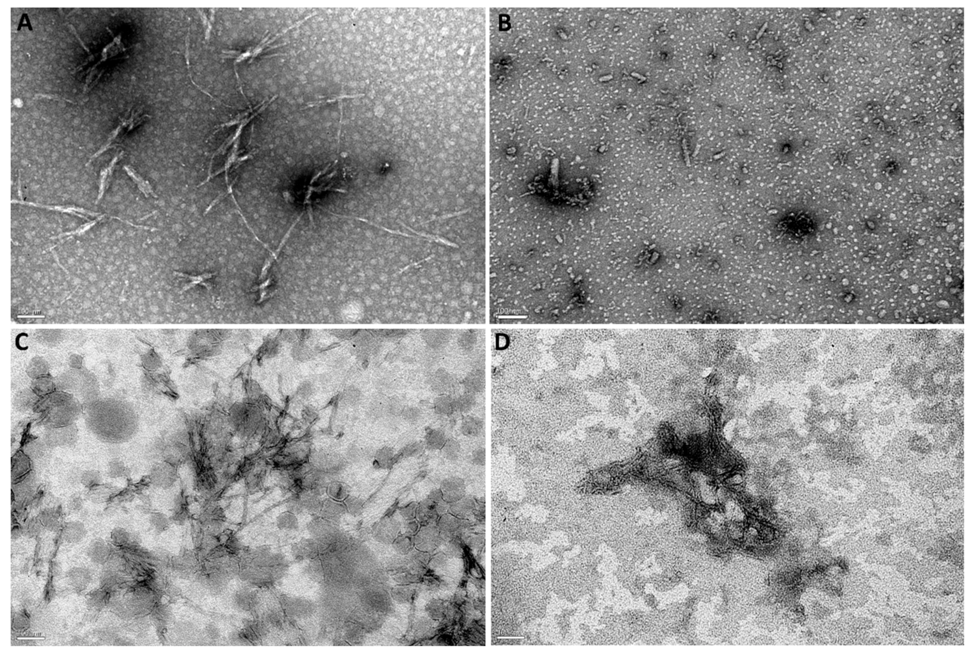 Pharmaceutics 14 02163 g007 Pharmaceutics 14 02163 g007