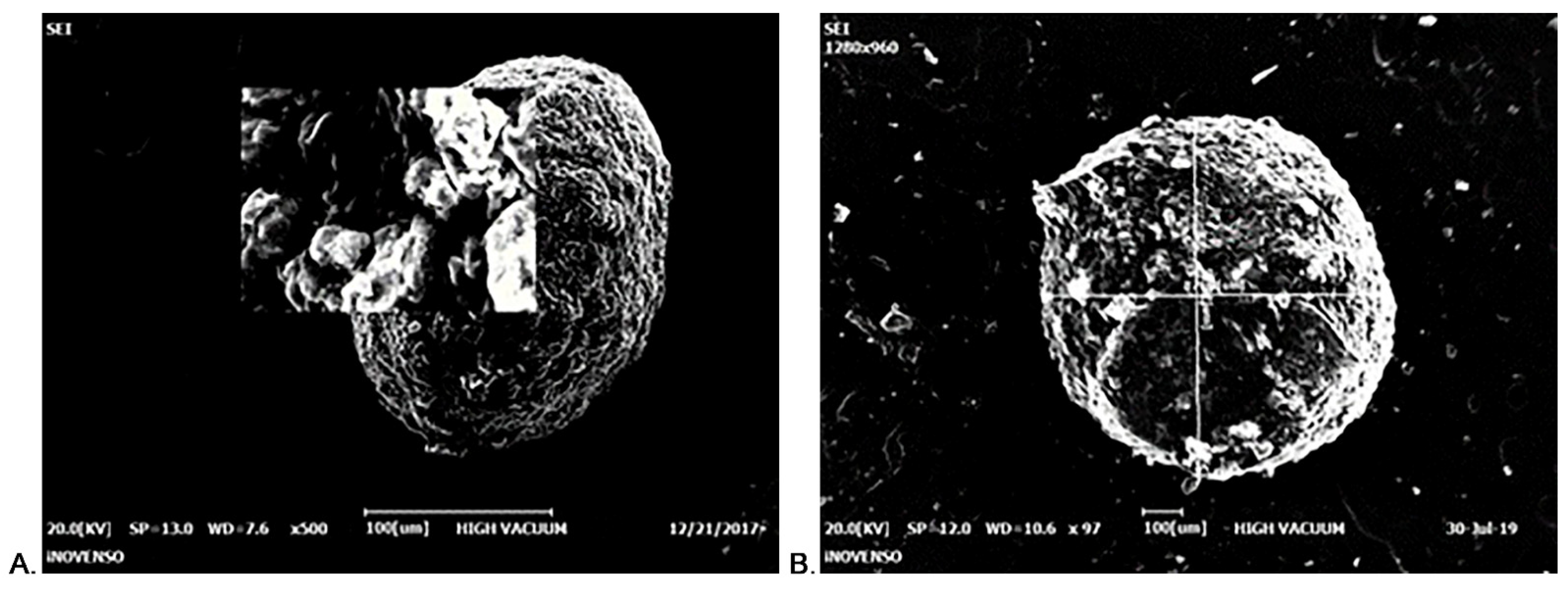 Pharmaceutics 14 02164 g001