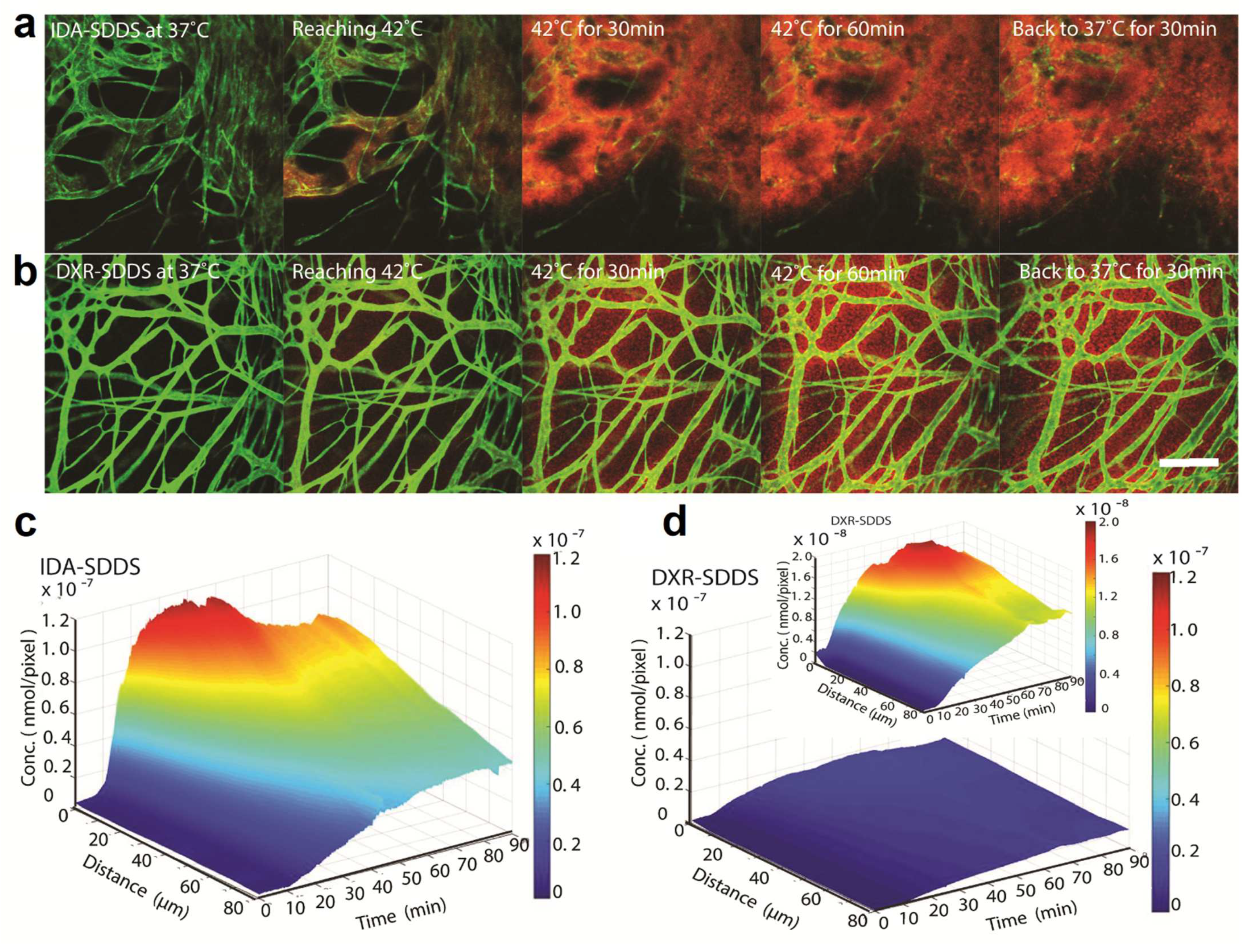 Pharmaceutics 14 02165 g006 Pharmaceutics 14 02165 g006