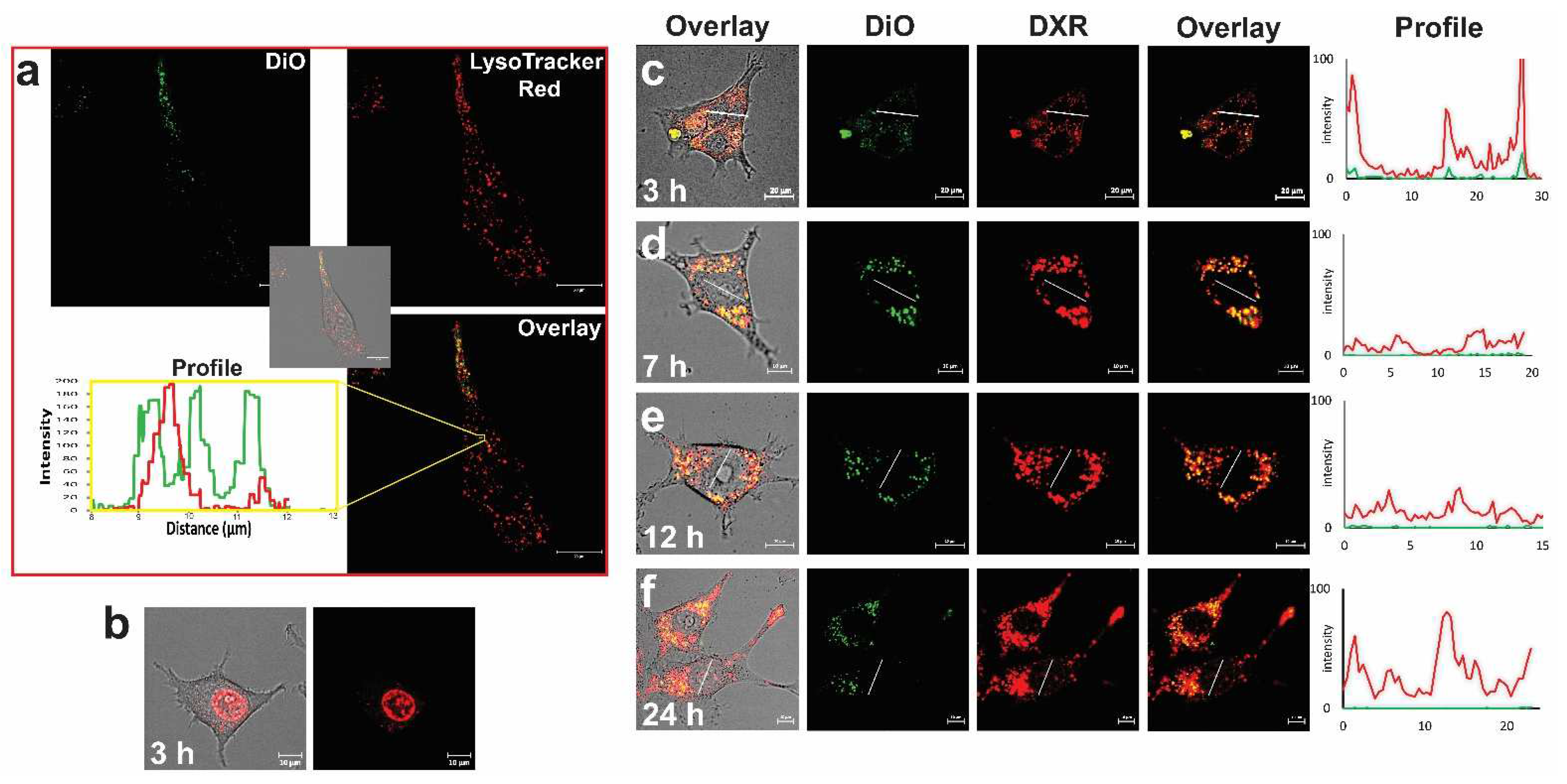 Pharmaceutics 14 02165 g009 Pharmaceutics 14 02165 g009