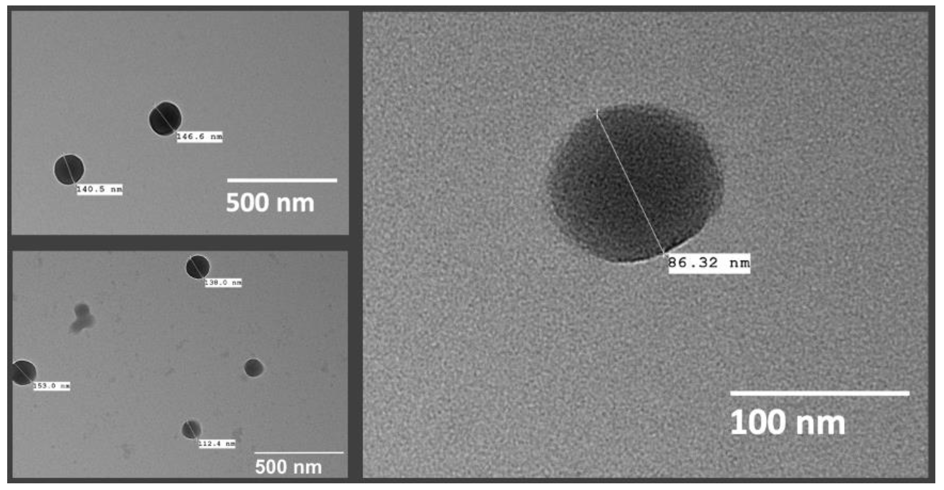 Pharmaceutics 14 02170 g009