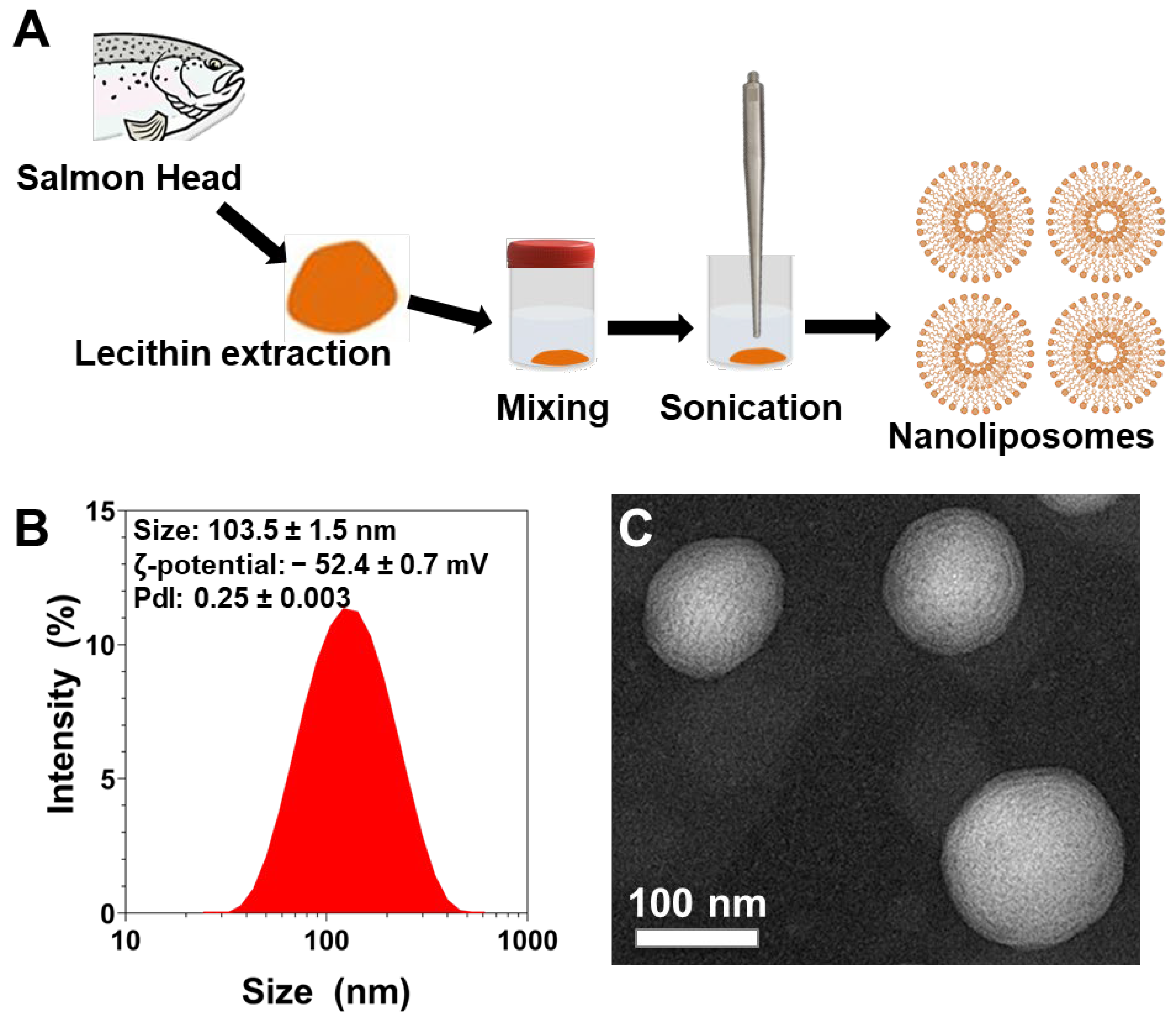 Pharmaceutics 14 02172 g001 Pharmaceutics 14 02172 g001