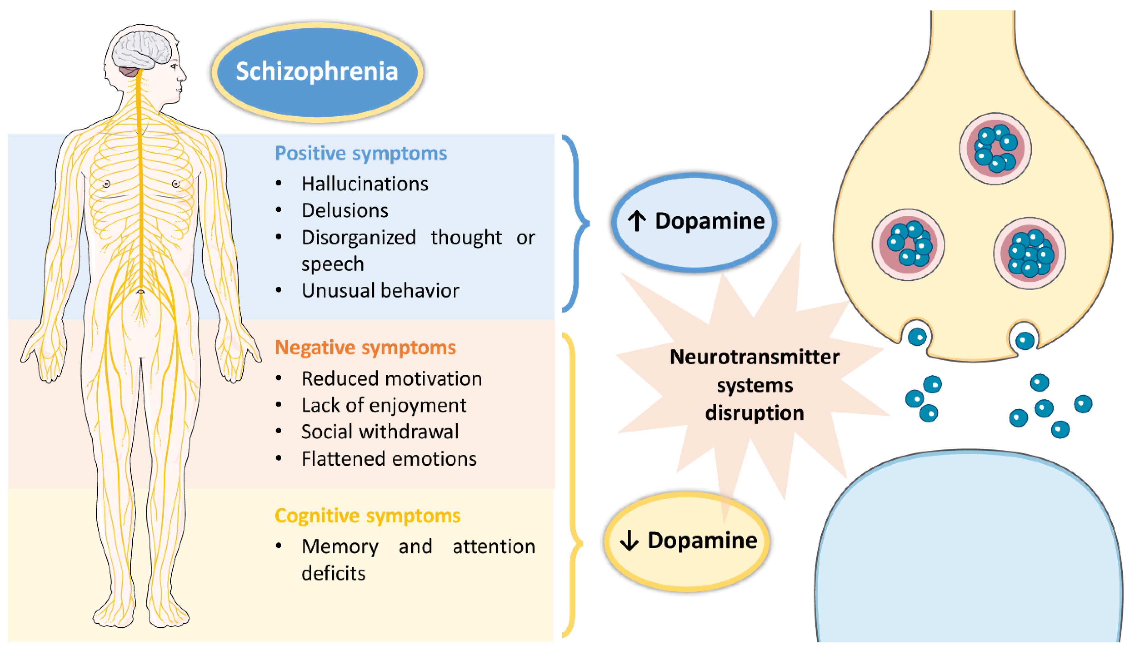 Pharmaceutics 14 02174 g001