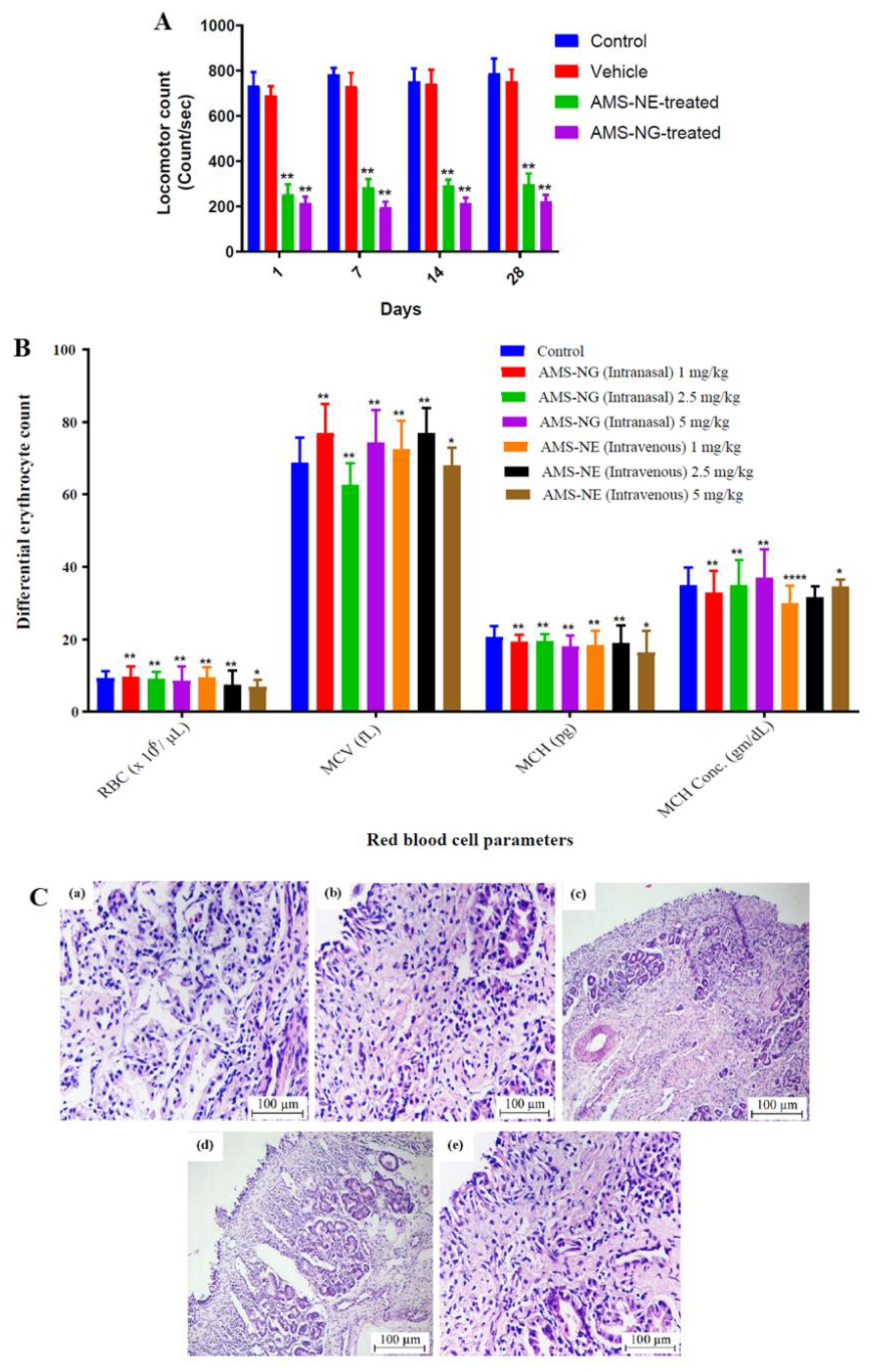 Pharmaceutics 14 02174 g005