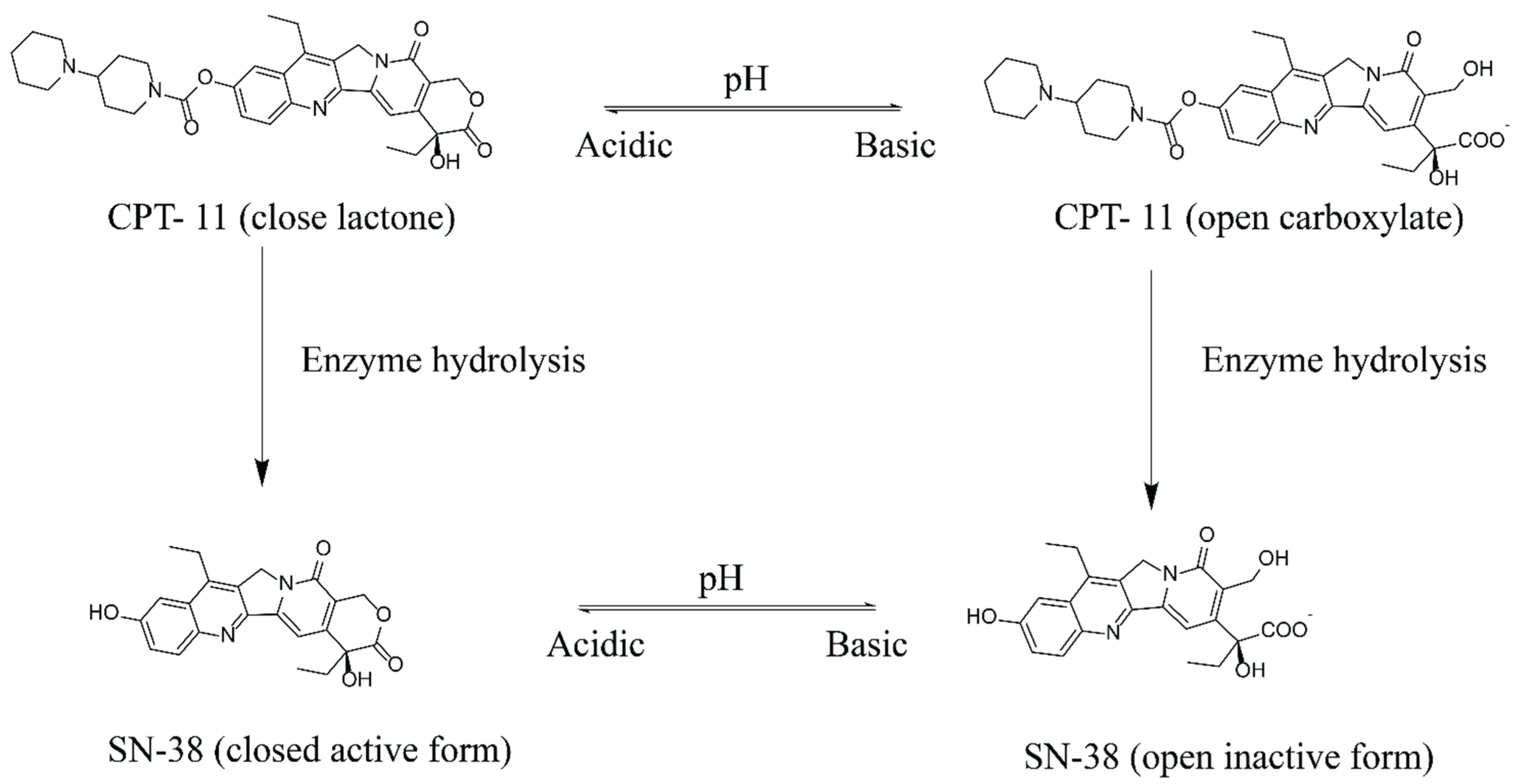 Pharmaceutics 14 02175 g001 Pharmaceutics 14 02175 g001
