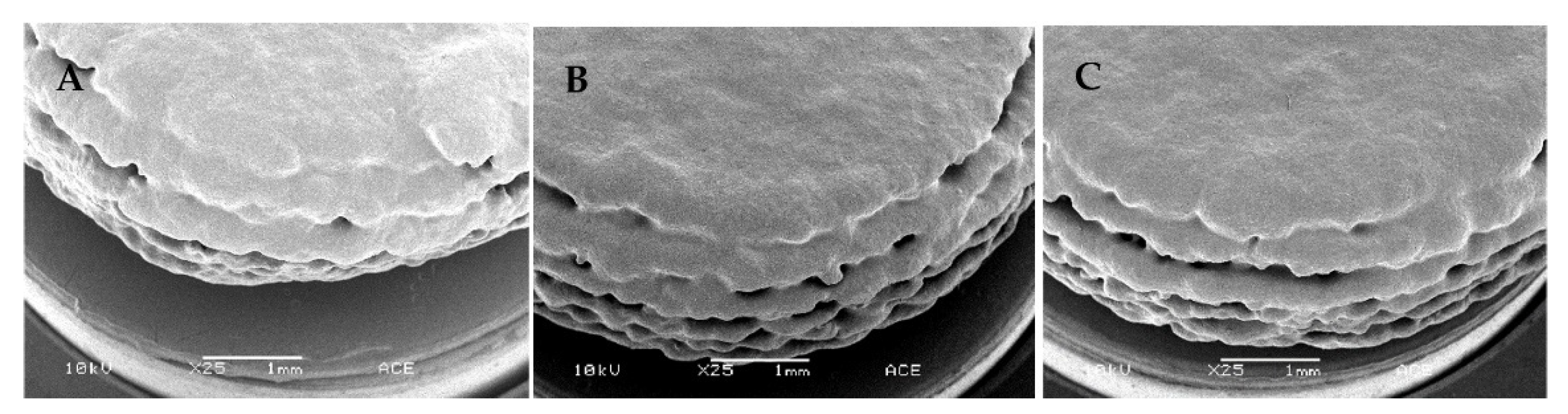 Pharmaceutics 14 02179 g007