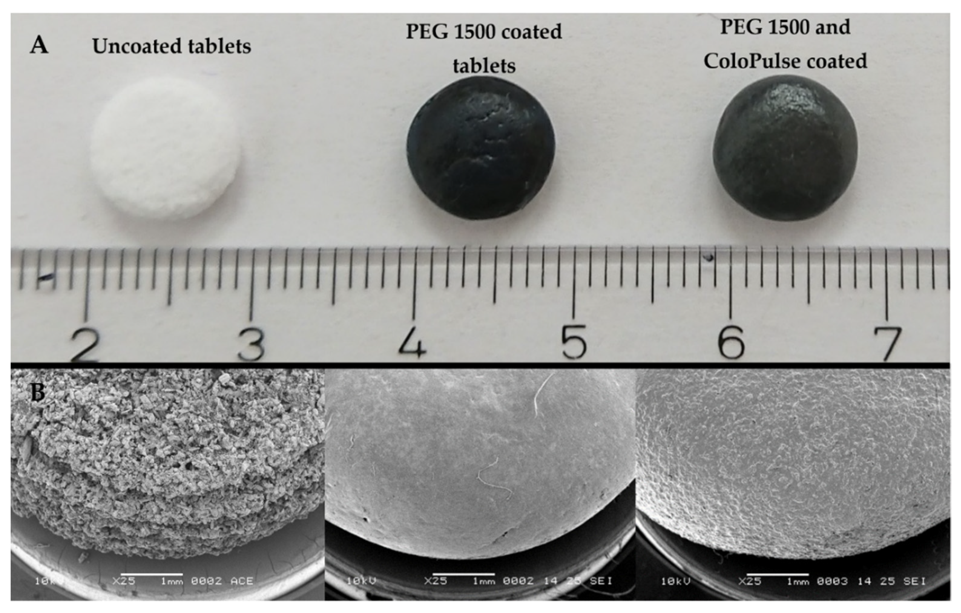 Pharmaceutics 14 02179 g008